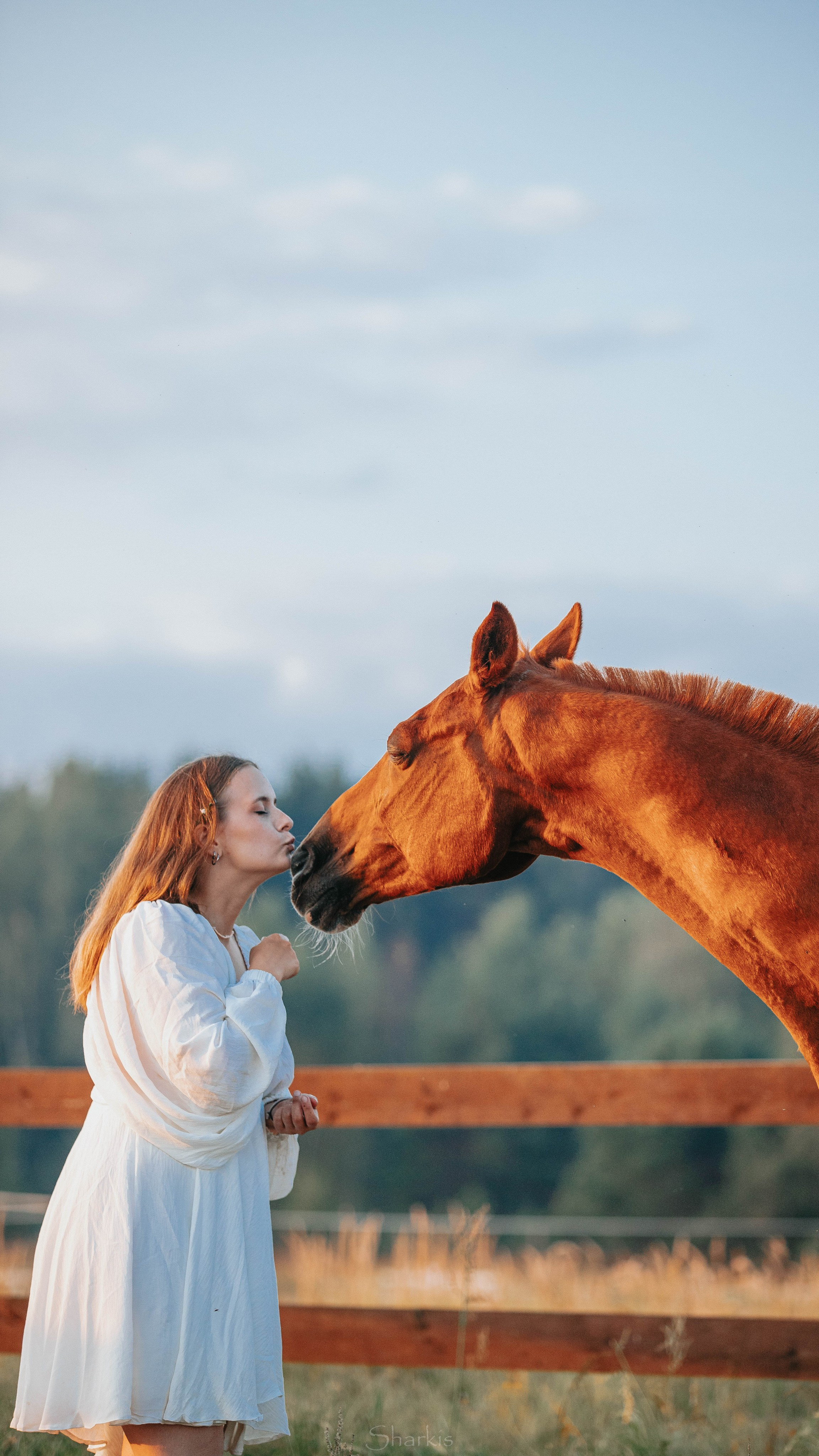Аня и Гас. Главная
