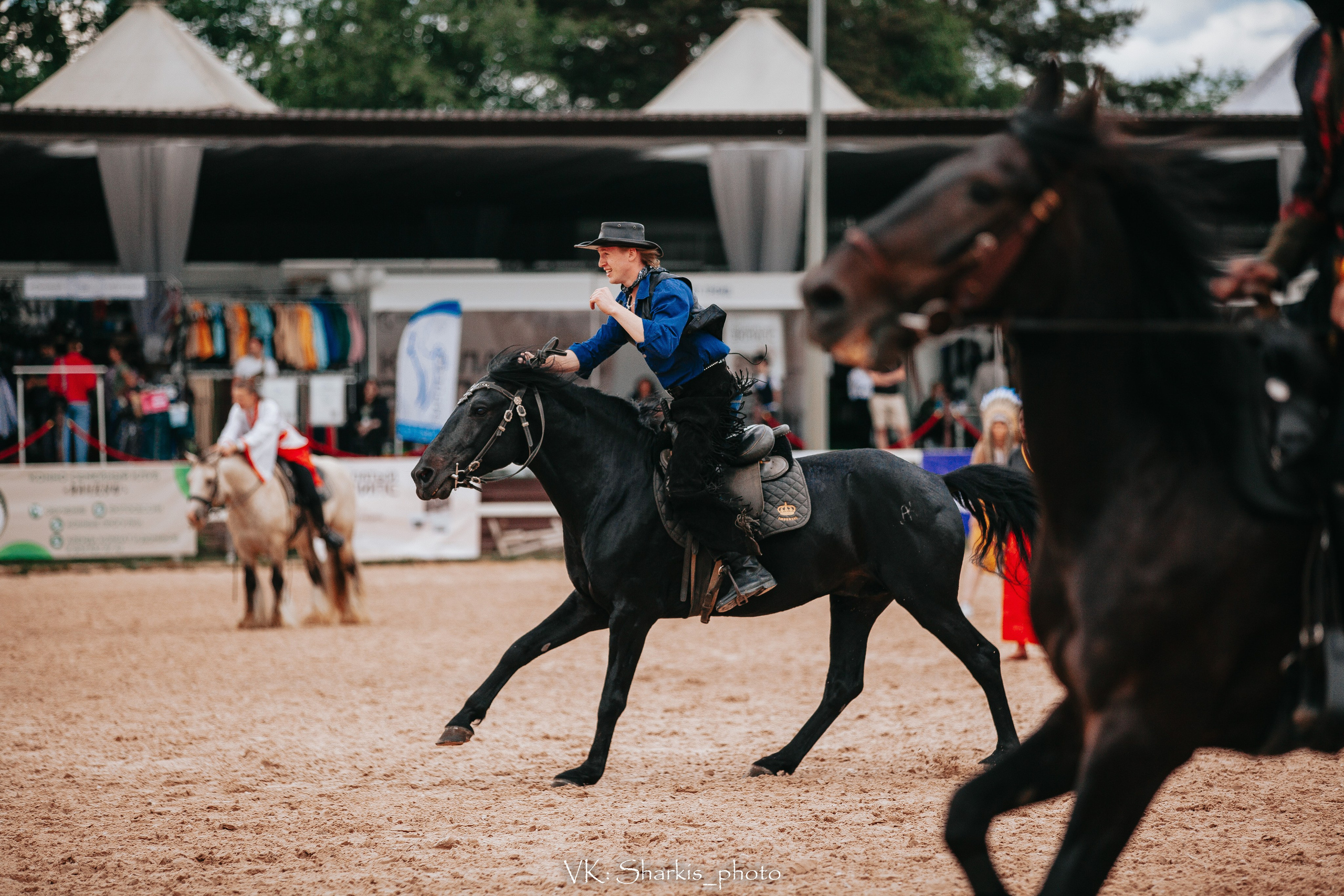 Лошади. Главная