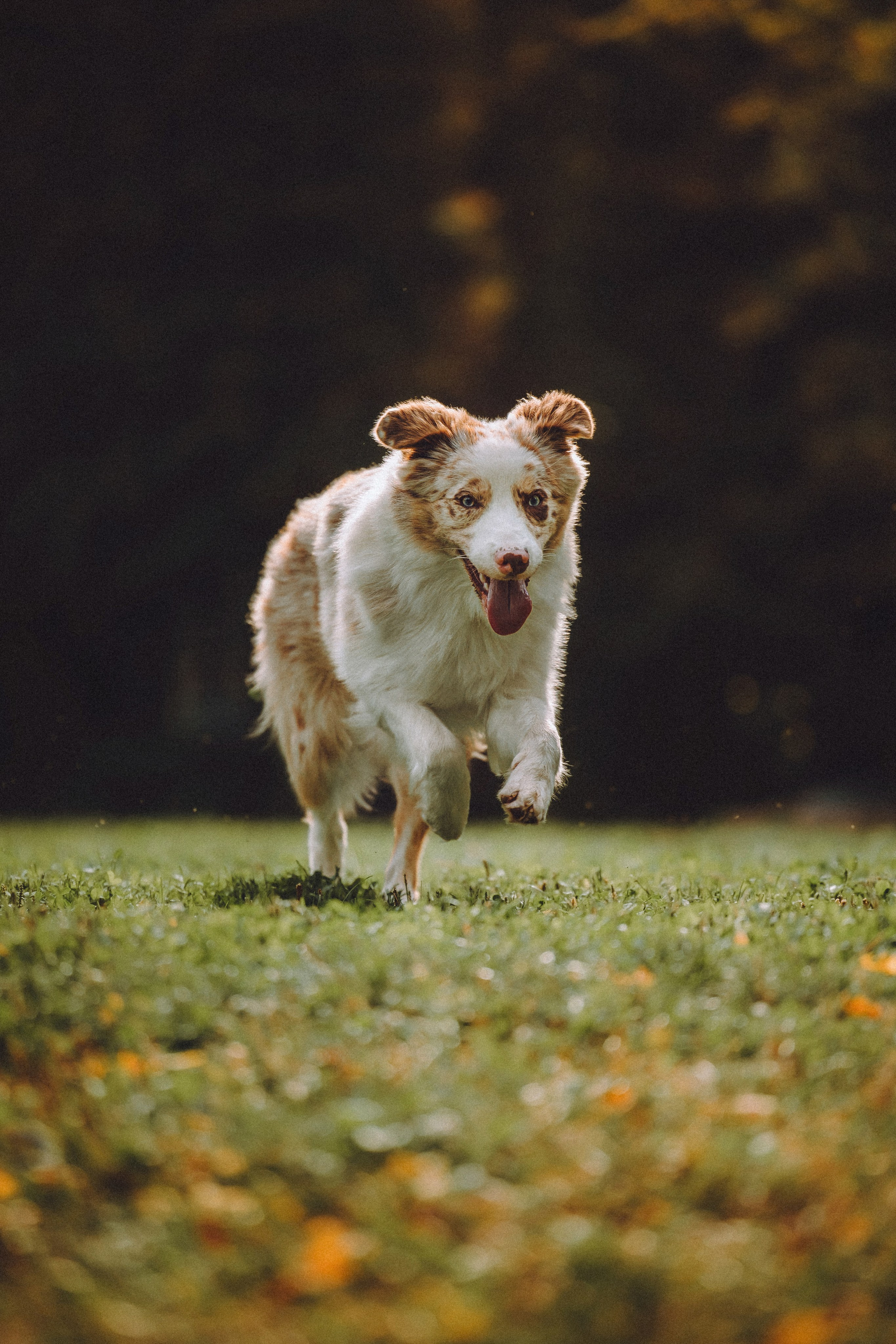 Один и его семья