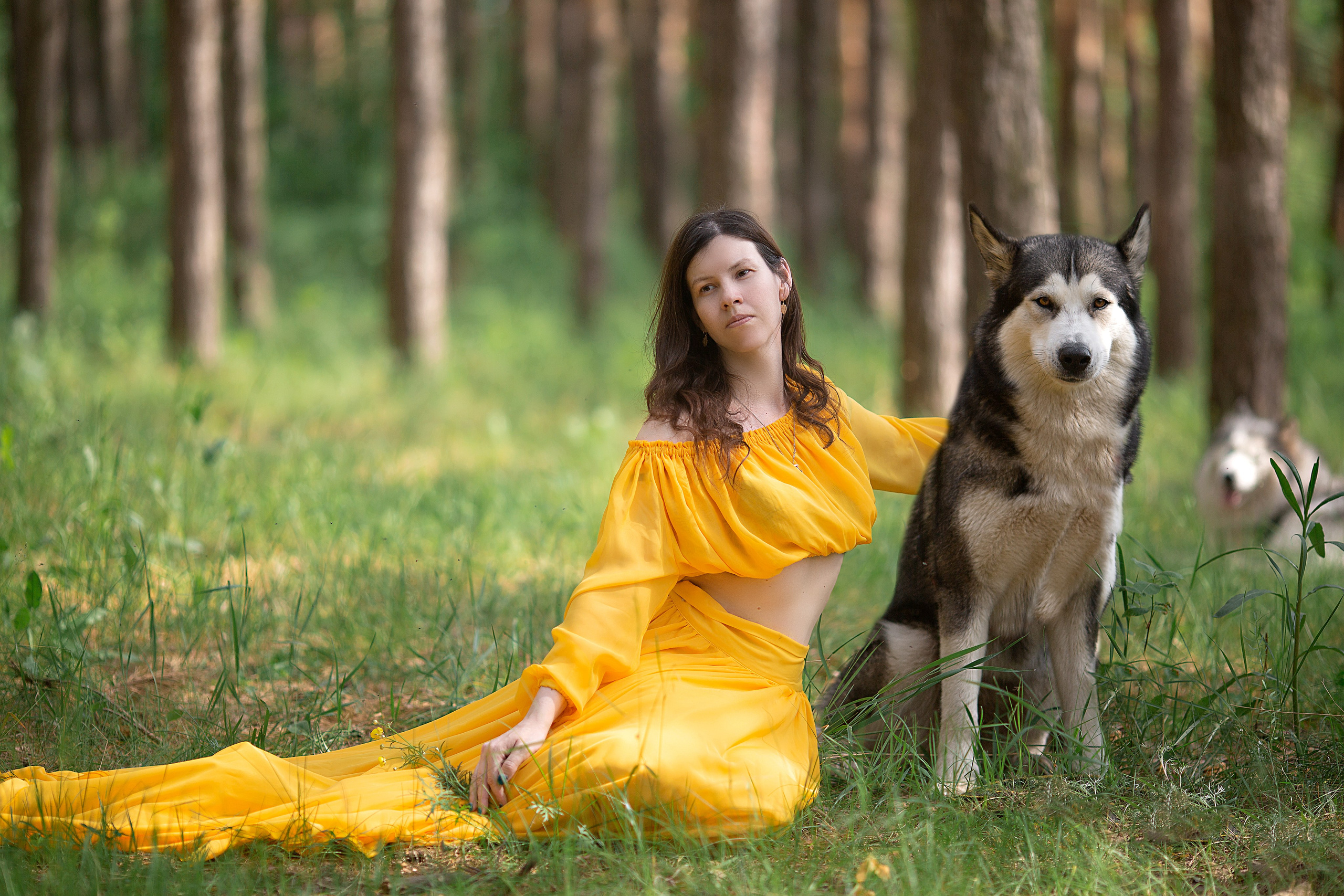 Наталья фотосессия с собаками. Фотосессия с лошадьми в Нижнем Новгороде