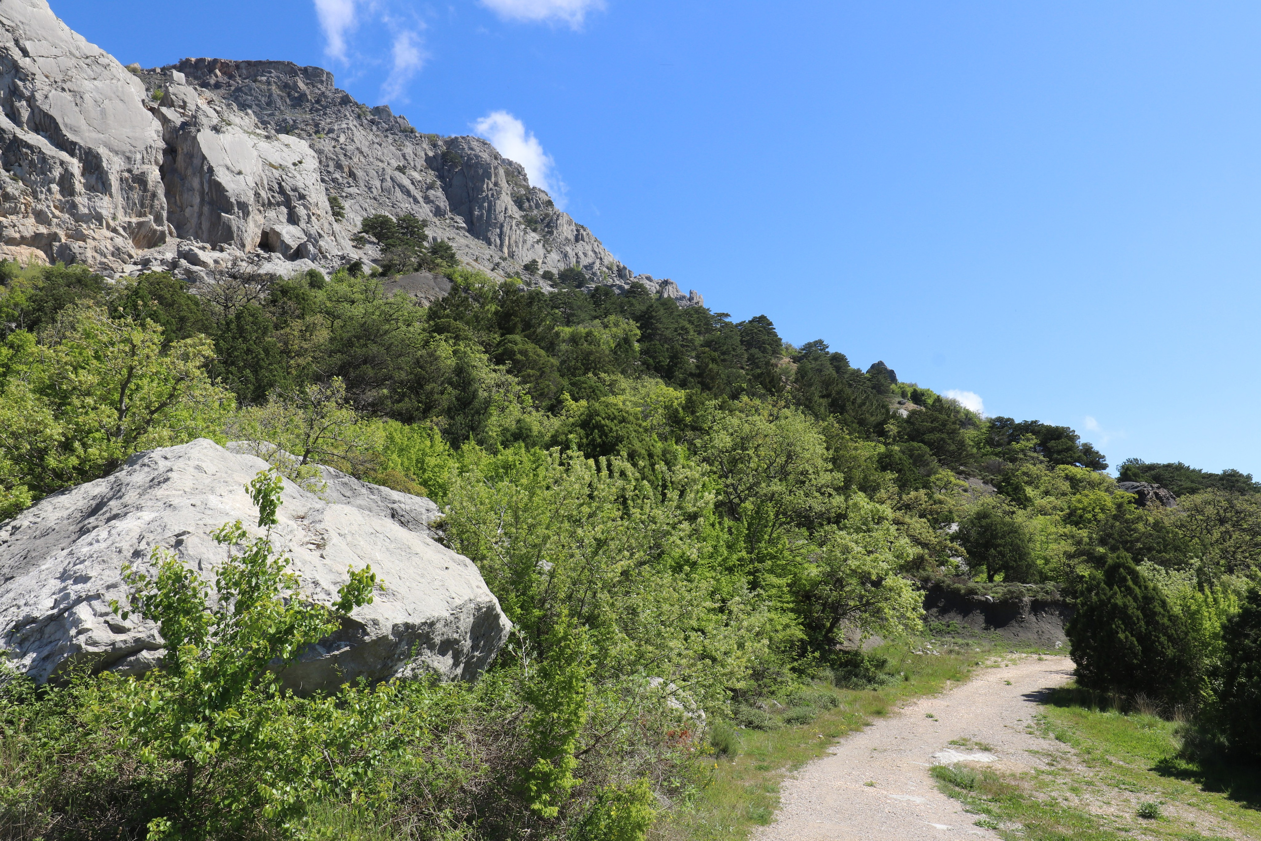 Крым. ЮБК (Севастополь, Кастрополь, Ялта). Май 2023. Путешественник-фотограф из Санкт-Петербурга Татьяна Свистулина