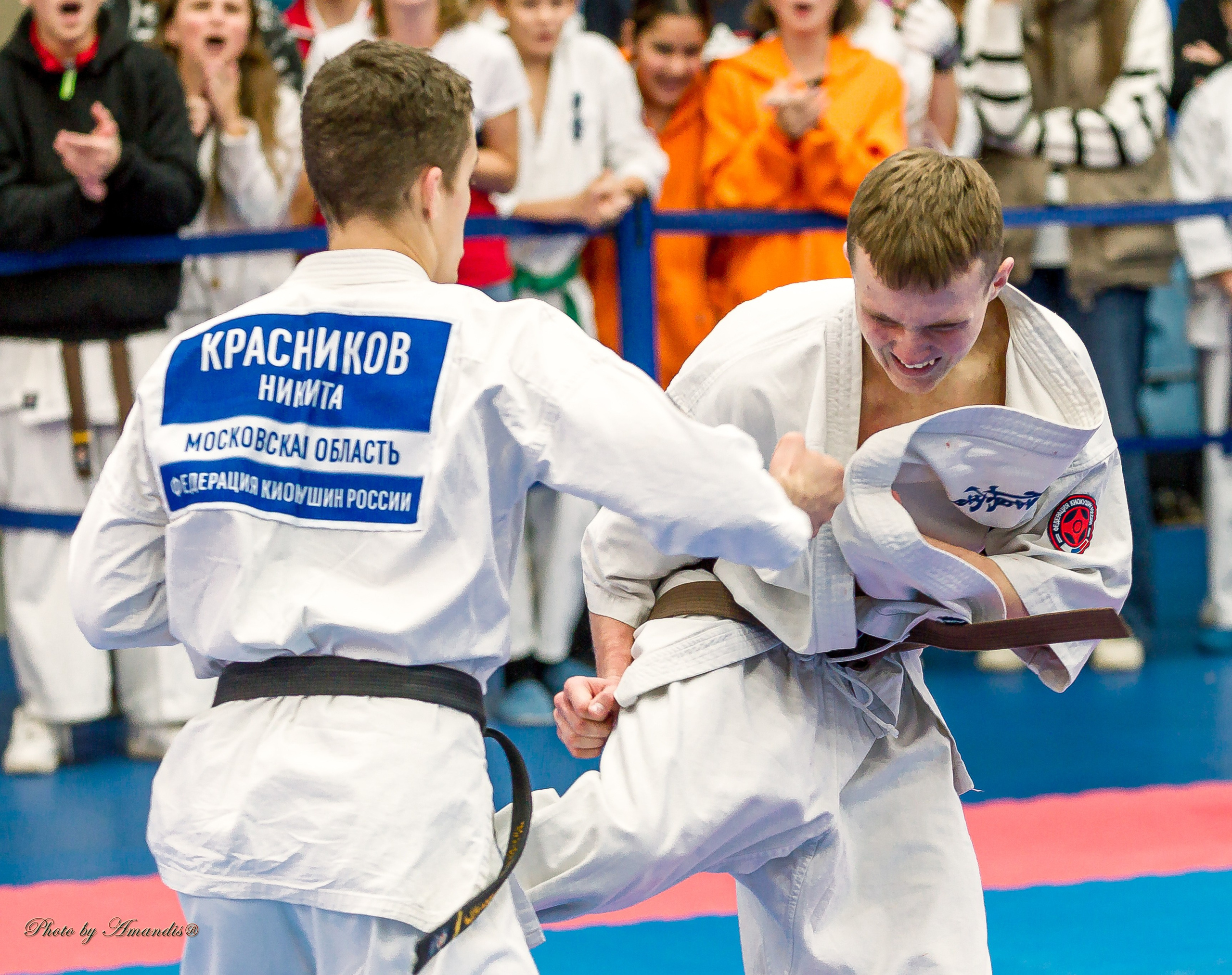 Чемпионат по Киокушинкай Центрального Федерального округа. Репортажная съемка в Москве и области. Анималистика