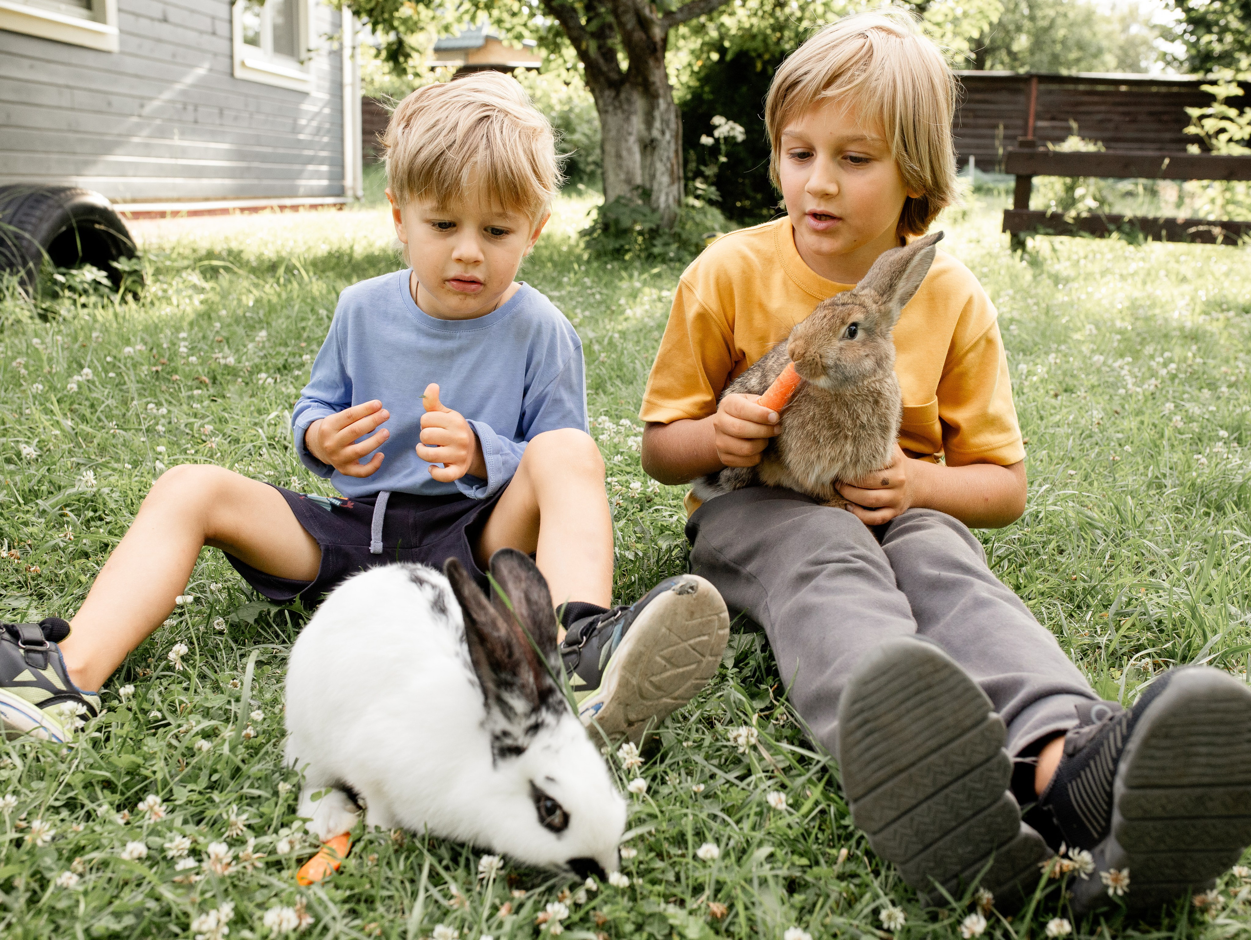 Кролики 2023. Семейный фотограф в Санкт-Петербурге Ирина Иванова