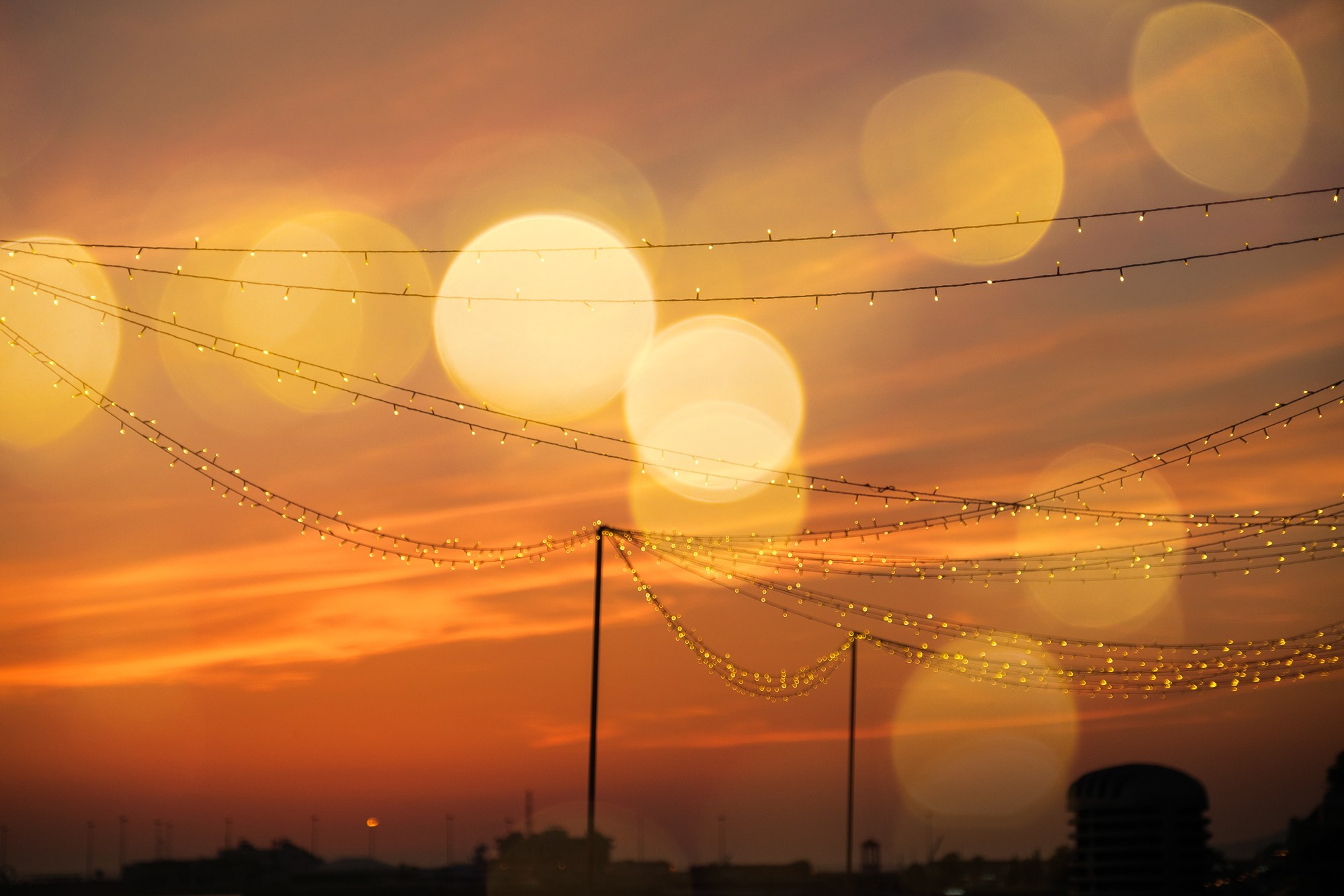 Dior. Свадебный Видеограф Фотограф в Сочи