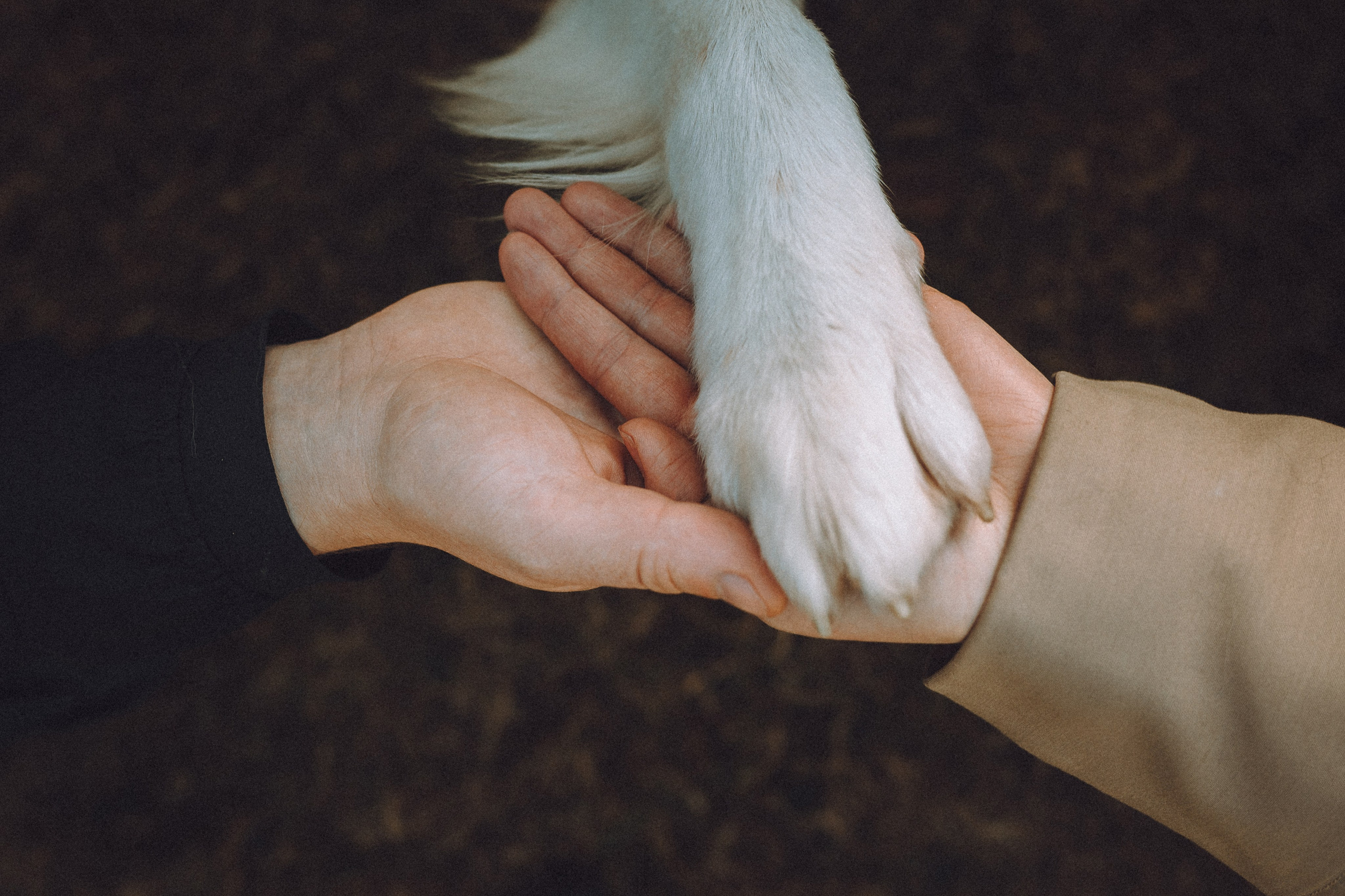 Саша, Рома и Один