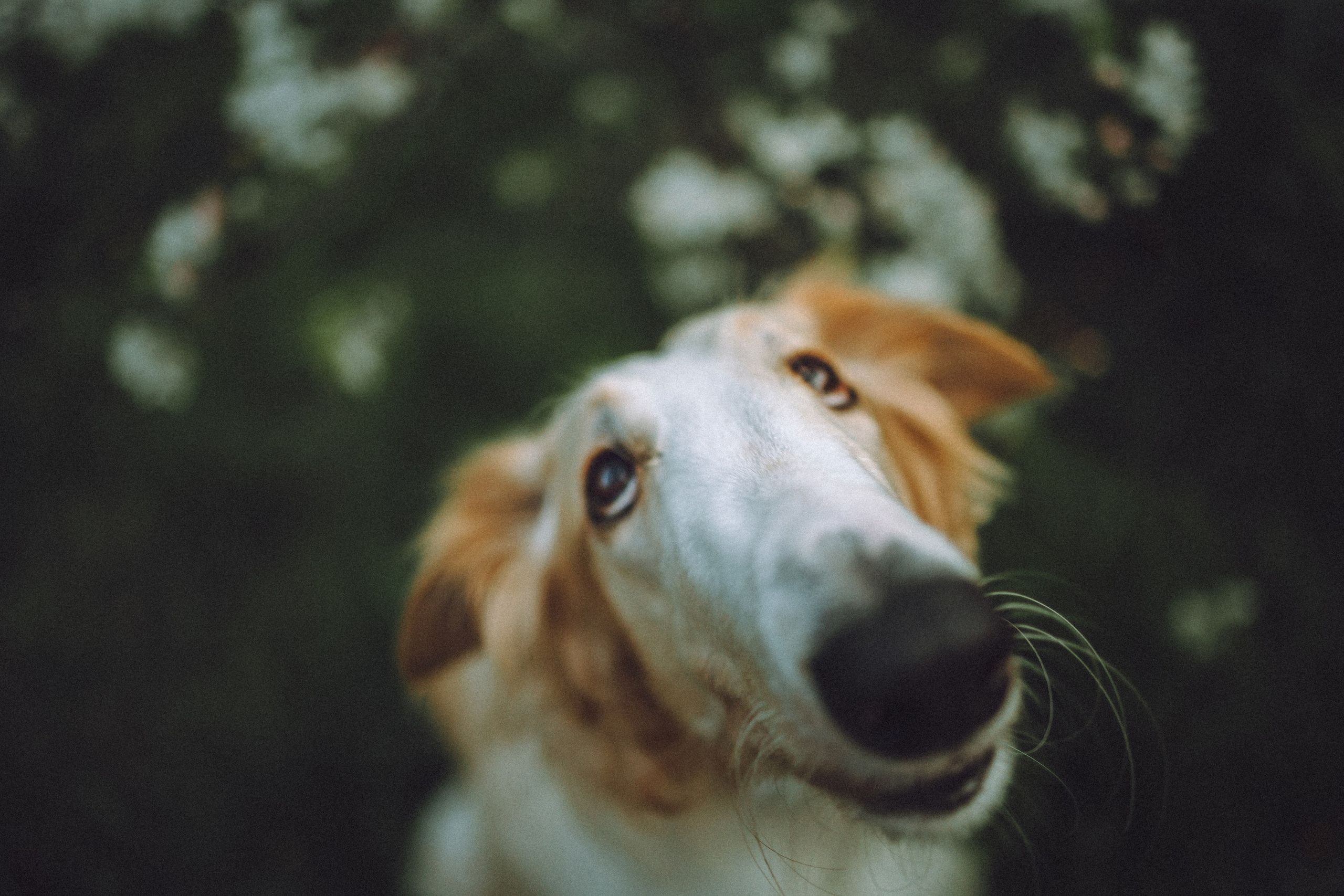 Илай, Зайка и их семья