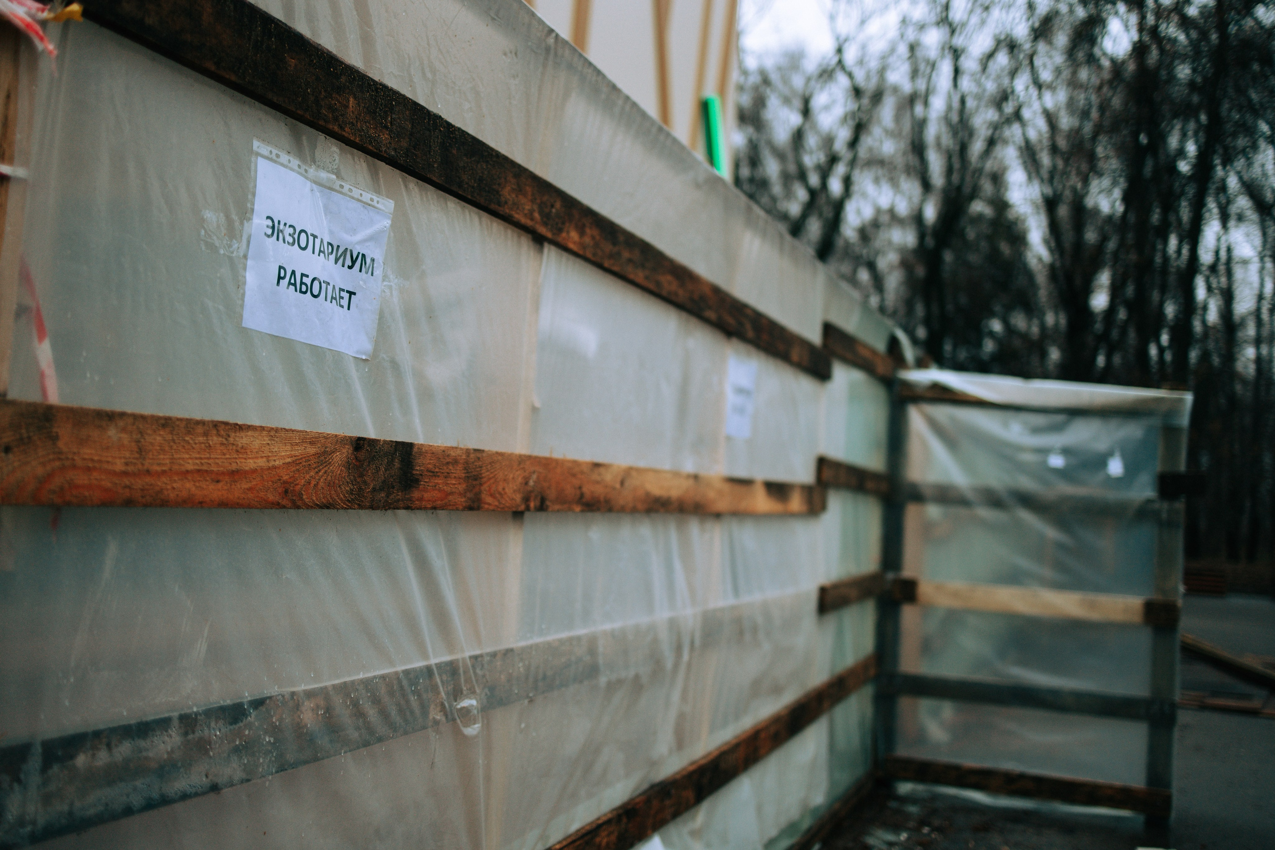 Осень, парк, экзотариум. Свадебный и семейный фотограф в Туле и области Маша Костина