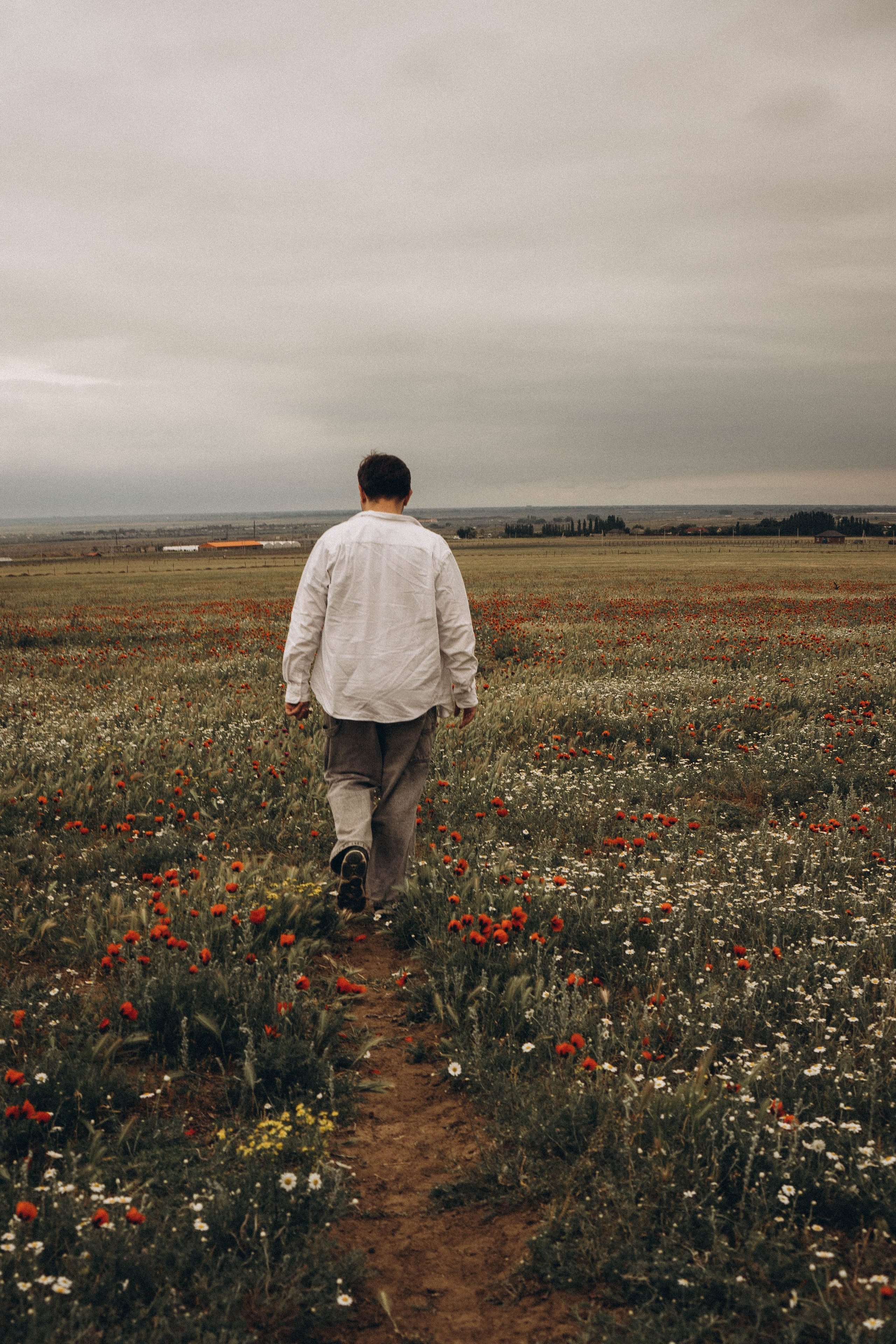 Маки. Профессиональный фотограф, Санкт-Петербург — Виктория Богомолова
