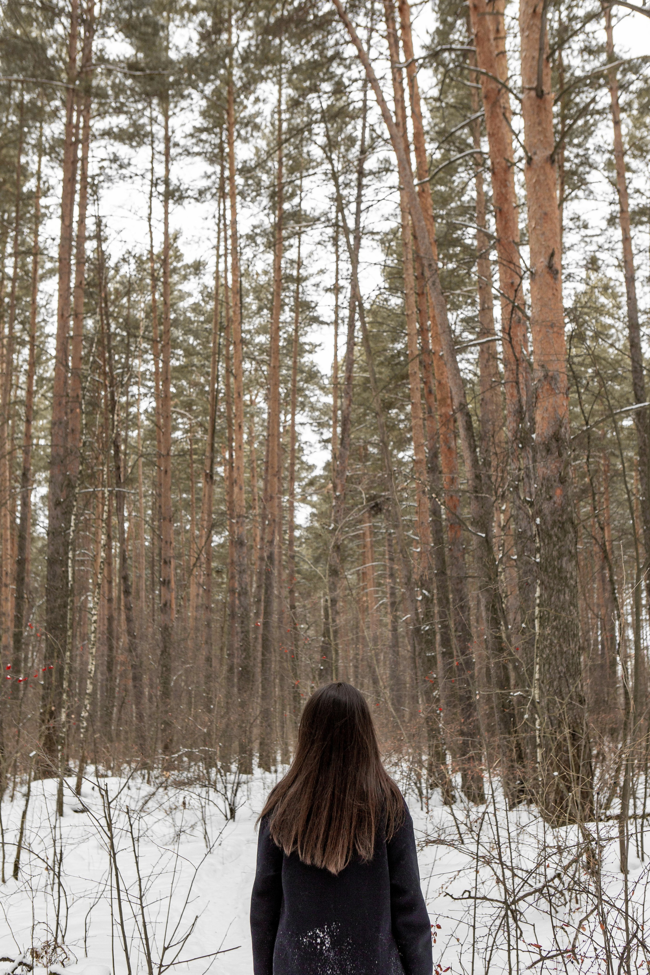 Зимняя прогулка. Фотограф Екатерина Голицына