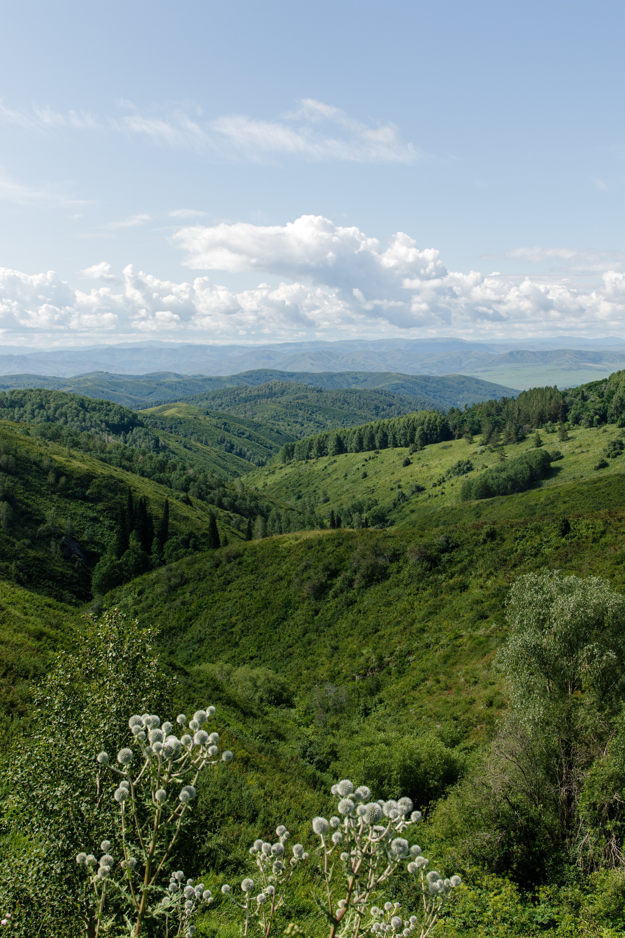 Казахстан. Фотограф Кирилл Мешков Кемерово