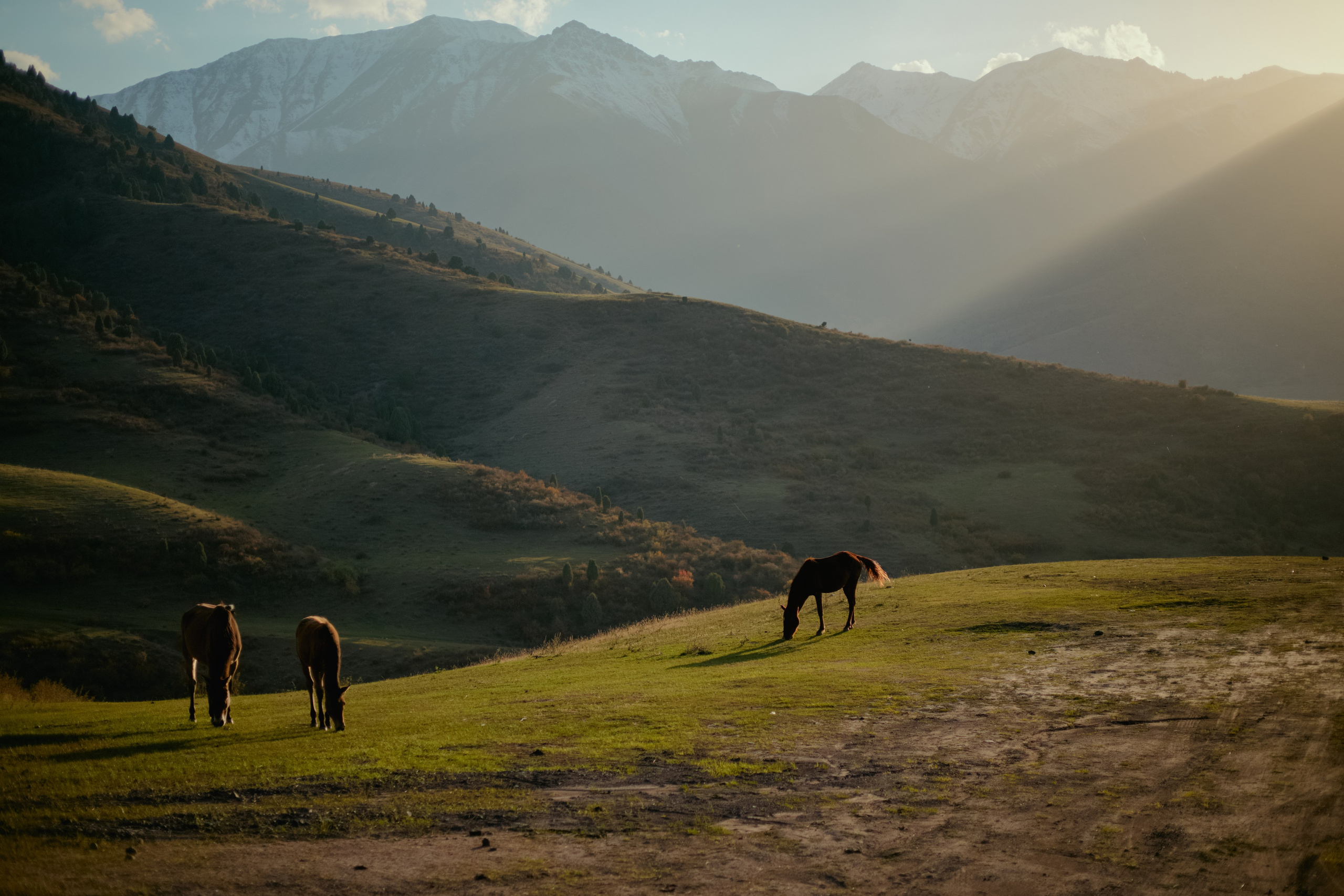 Кыргызтан. Профессиональный Фотограф во Владимире, в Москве и в Суздале — Полина Романычева
