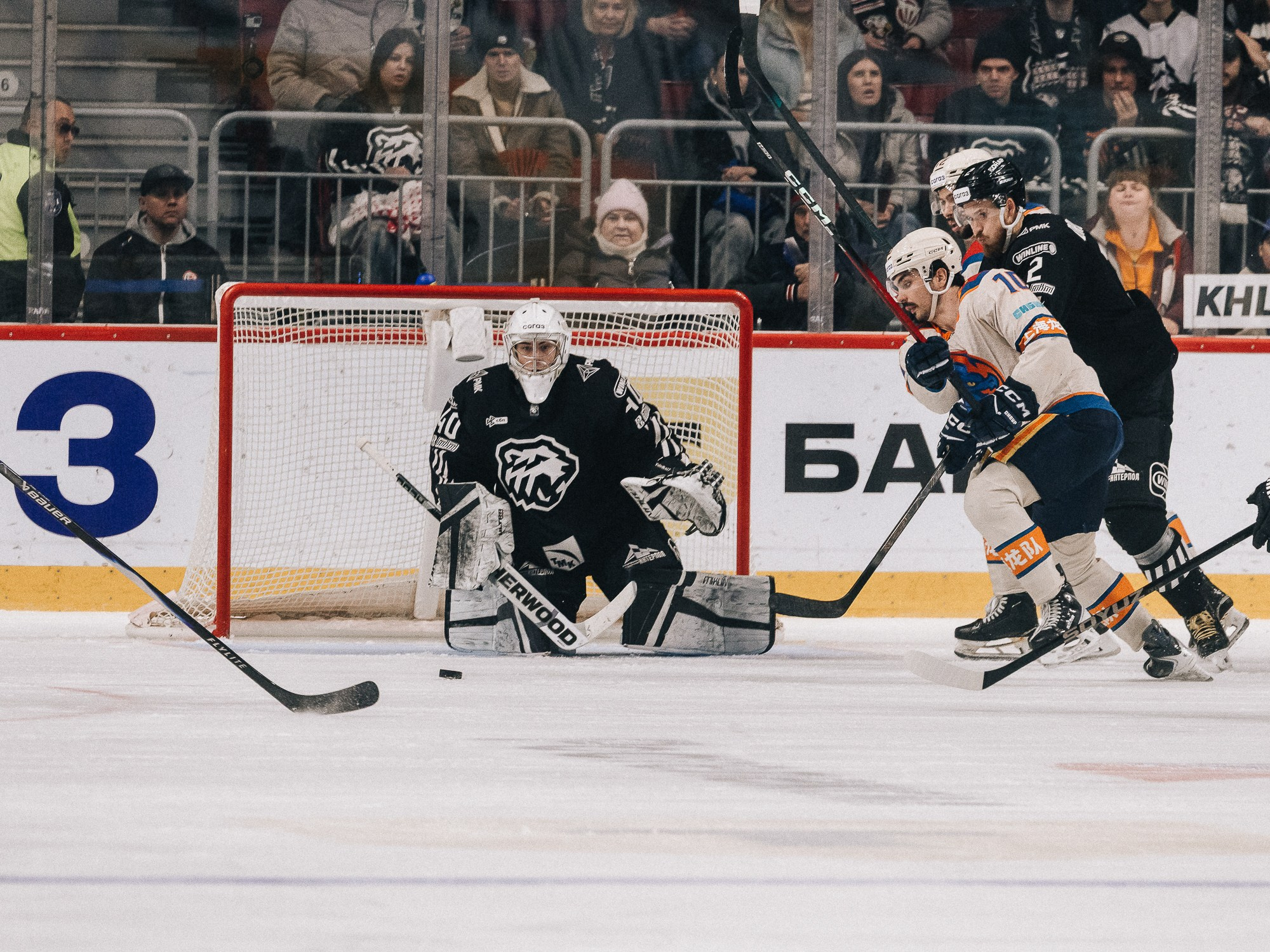 20251126 Traktor Dragon. Фотограф Иван Гуляев