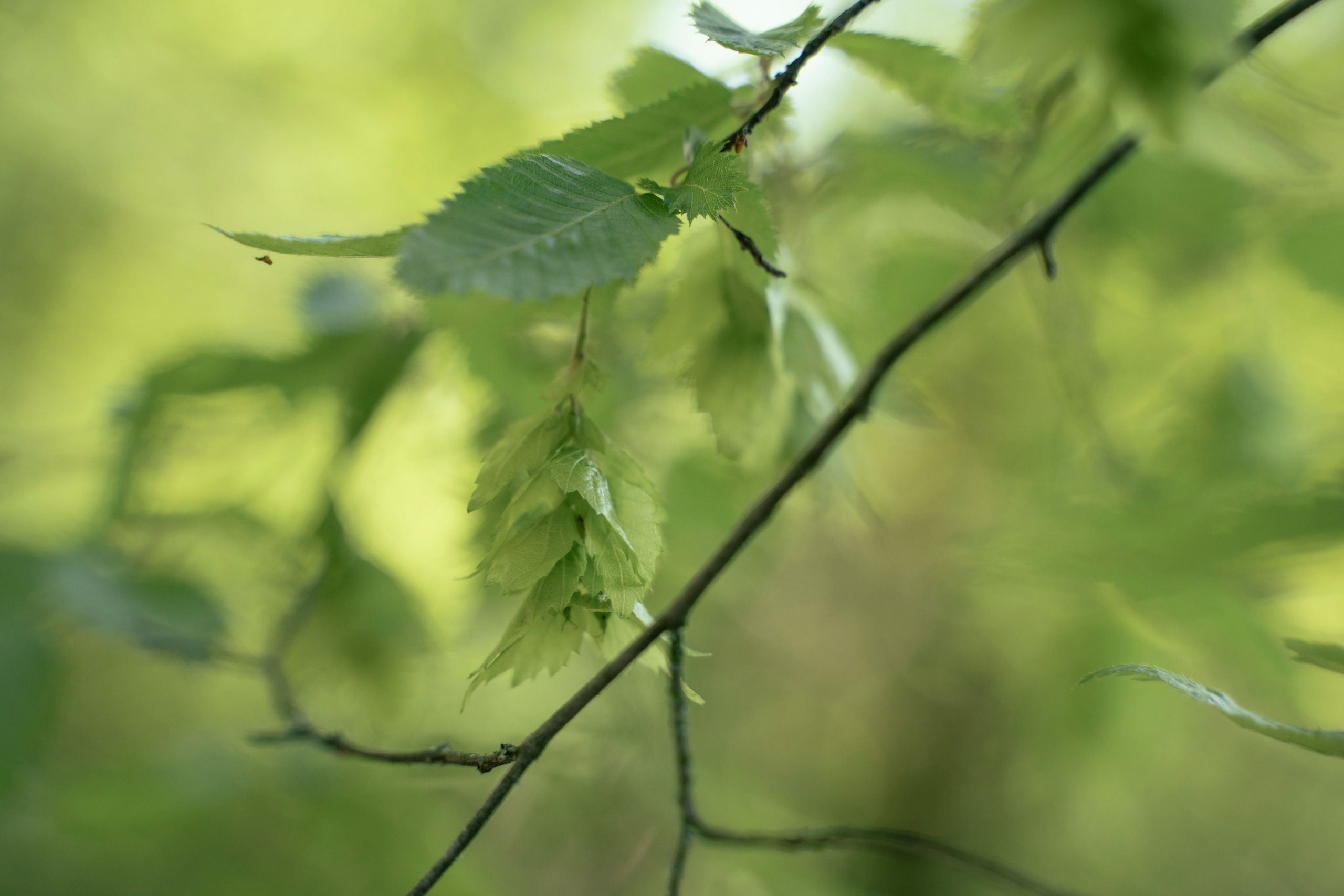 ФАКТУРКИ и ДЕТАЛЬКИ. Фотограф Татьяна Андриянова