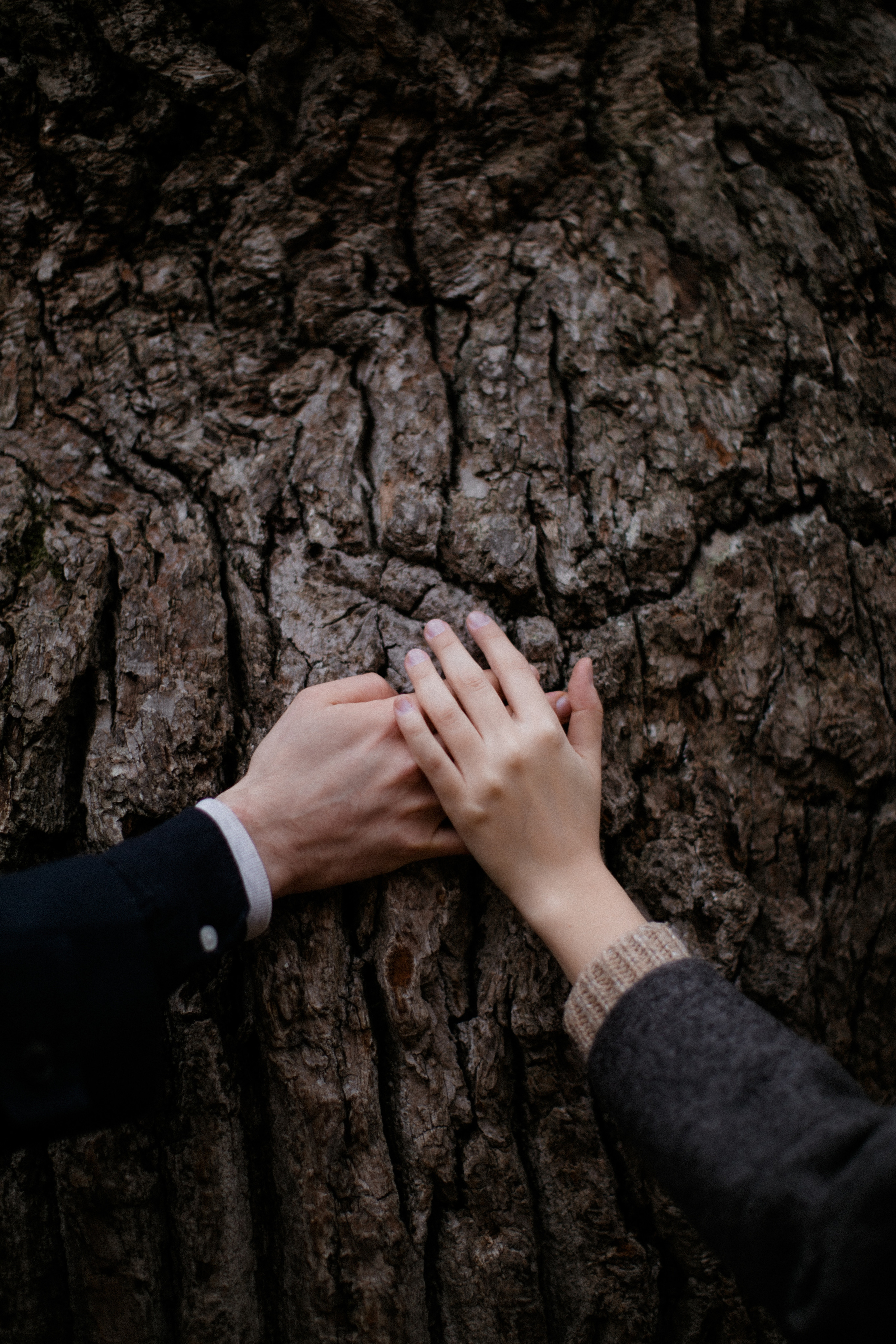 Sofia|Roman. Съёмка влюблённых в Санкт-Петербурге Ксения Чердакова, парный фотограф