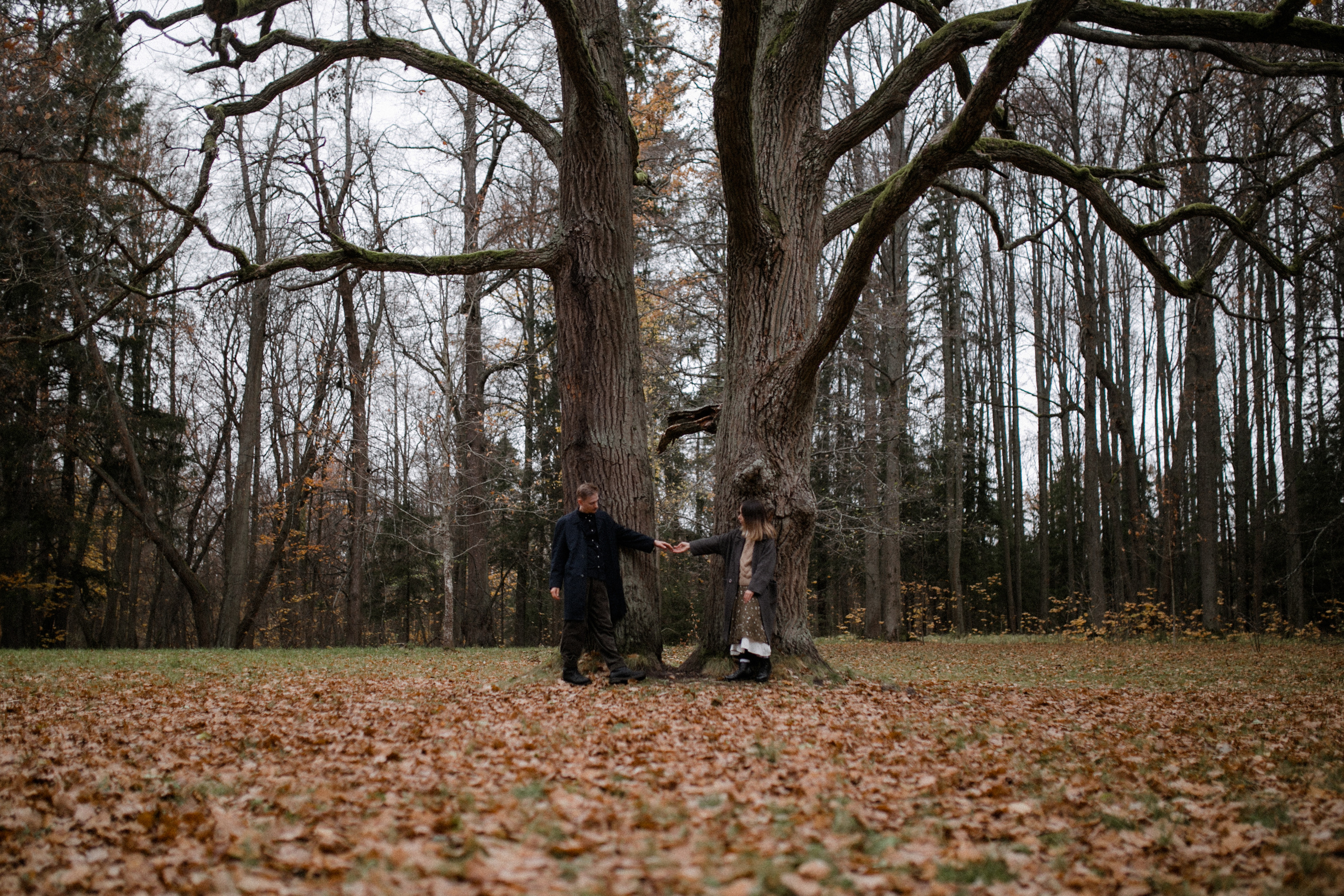Sofia|Roman. Съёмка влюблённых в Санкт-Петербурге Ксения Чердакова, парный фотограф