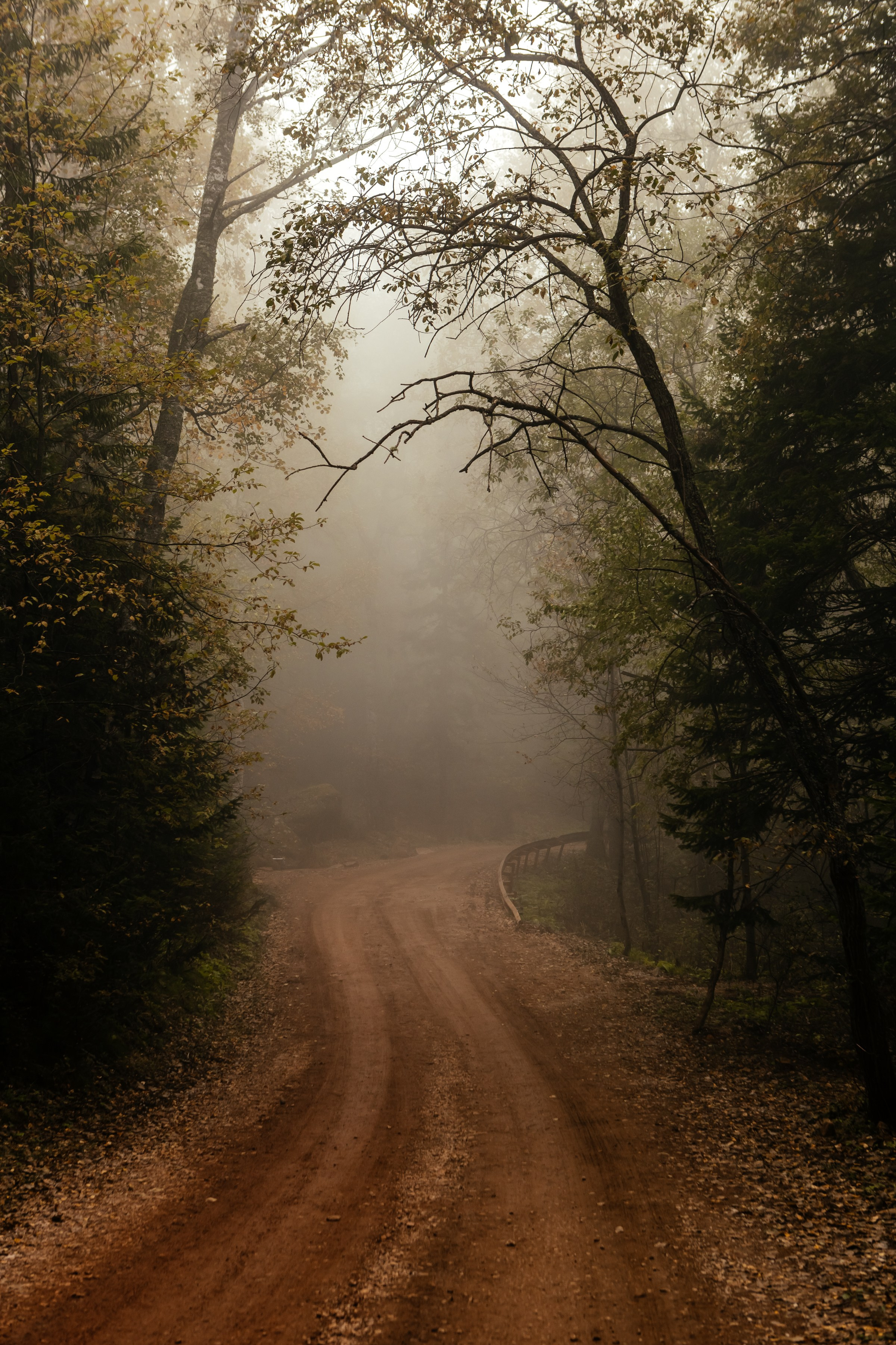 «Столбы». Фотограф в Красноярске Оксана Корчагина