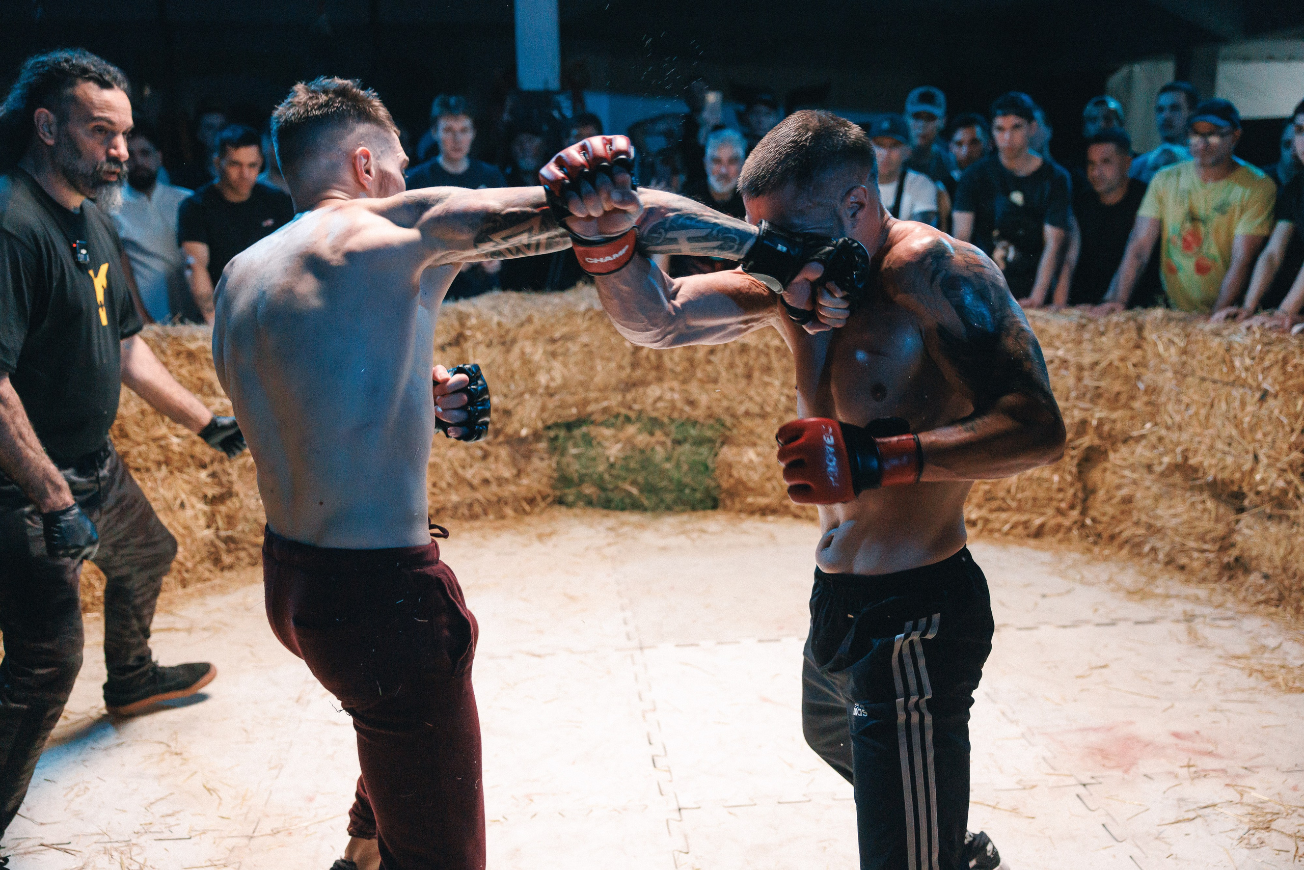 Yaguarete Fighting Championship. Фотограф в Сочи, Репортажный фотограф Виктор Кочков-Филатов