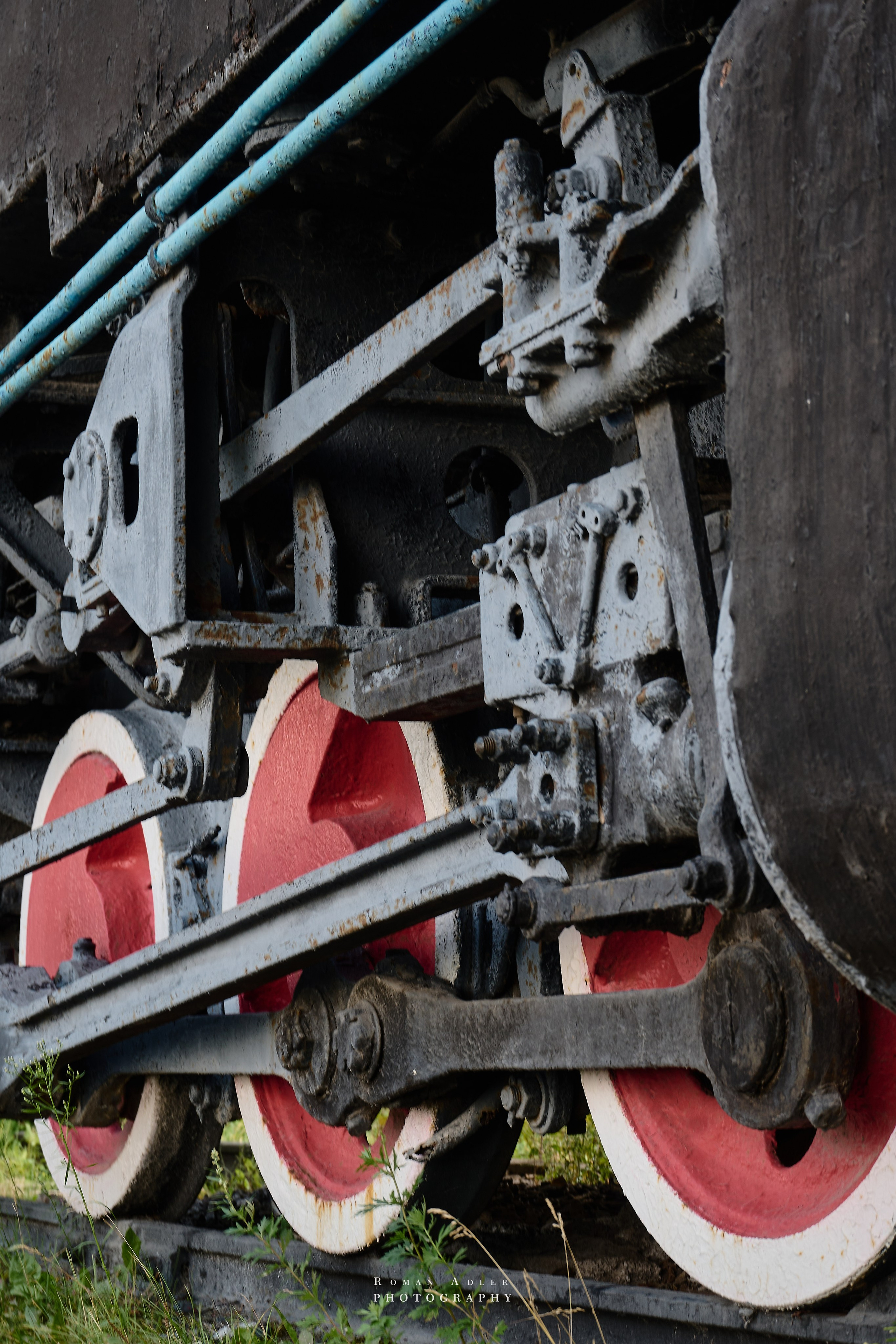 Пермь. Июль 2025. Фотограф Роман Адлер