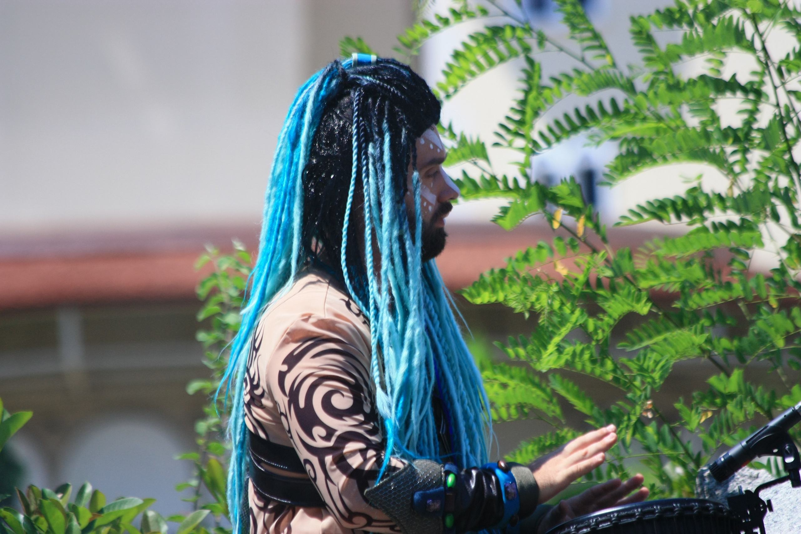 Первые кадры. Сочи — парк. Фотограф Роман Адлер