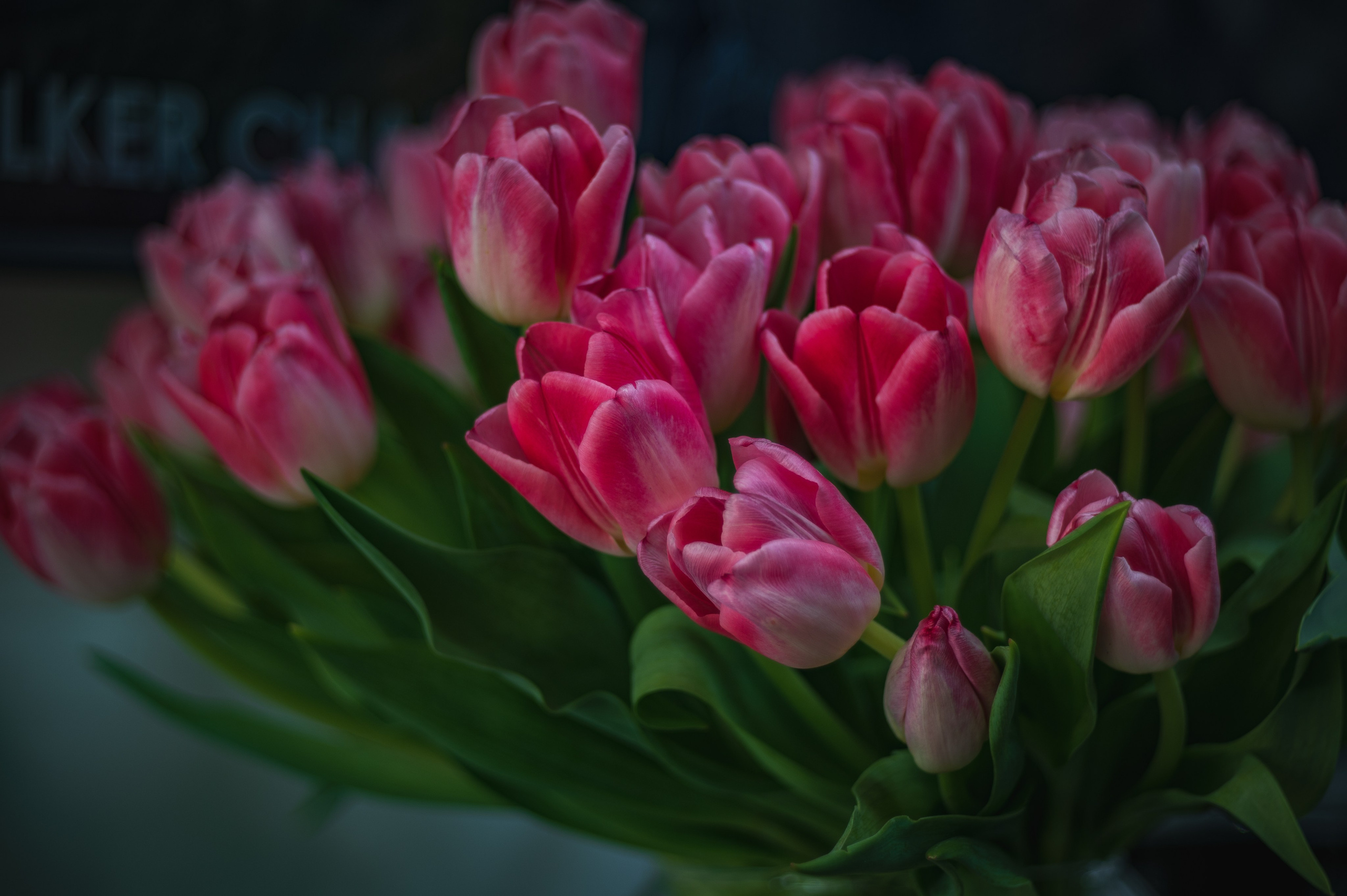 Фотопрогулка. Апрель 2023. Москва. Фотограф Роман Адлер