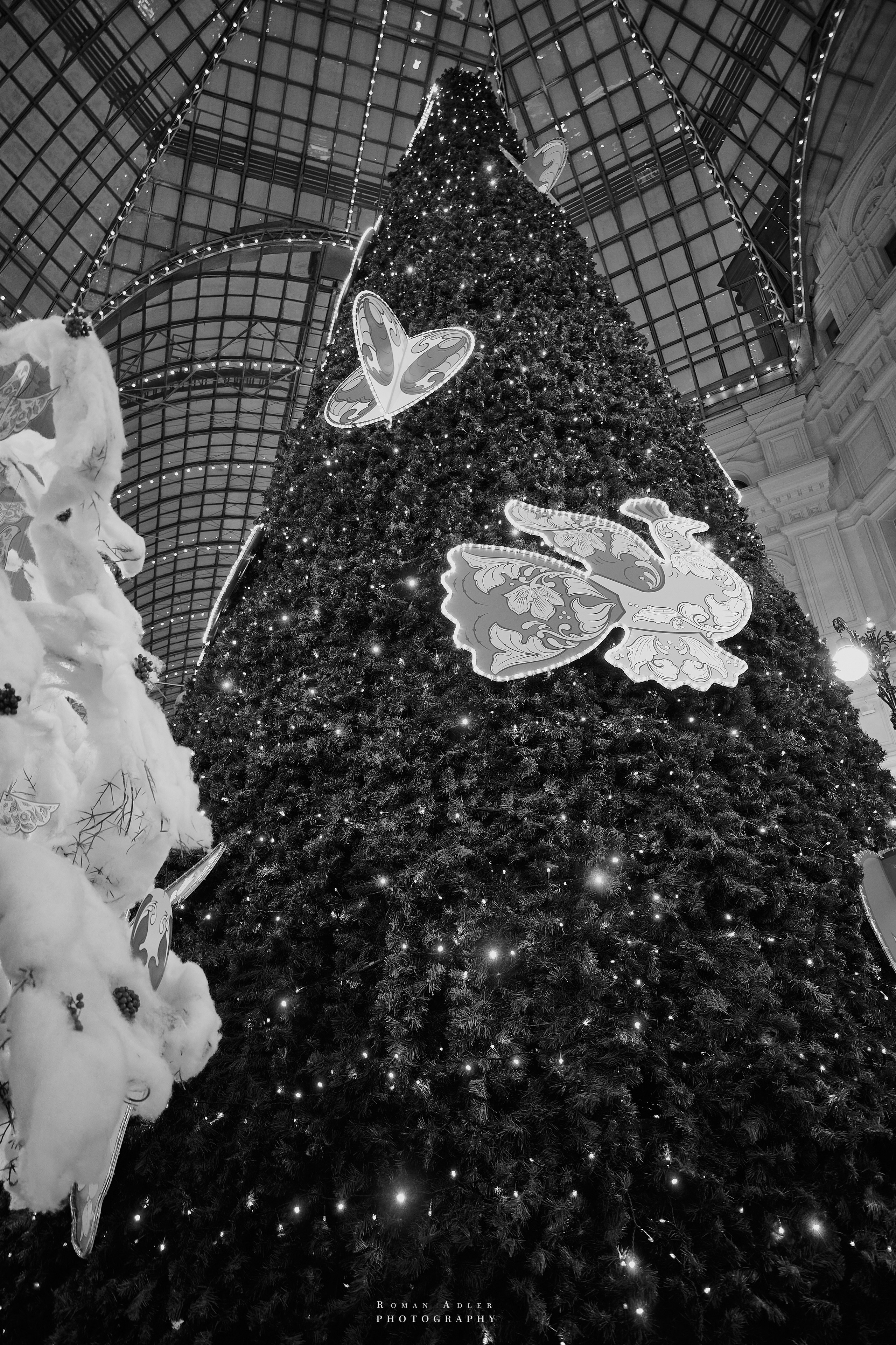 Фотопрогулка по Москве. Фотограф Роман Адлер