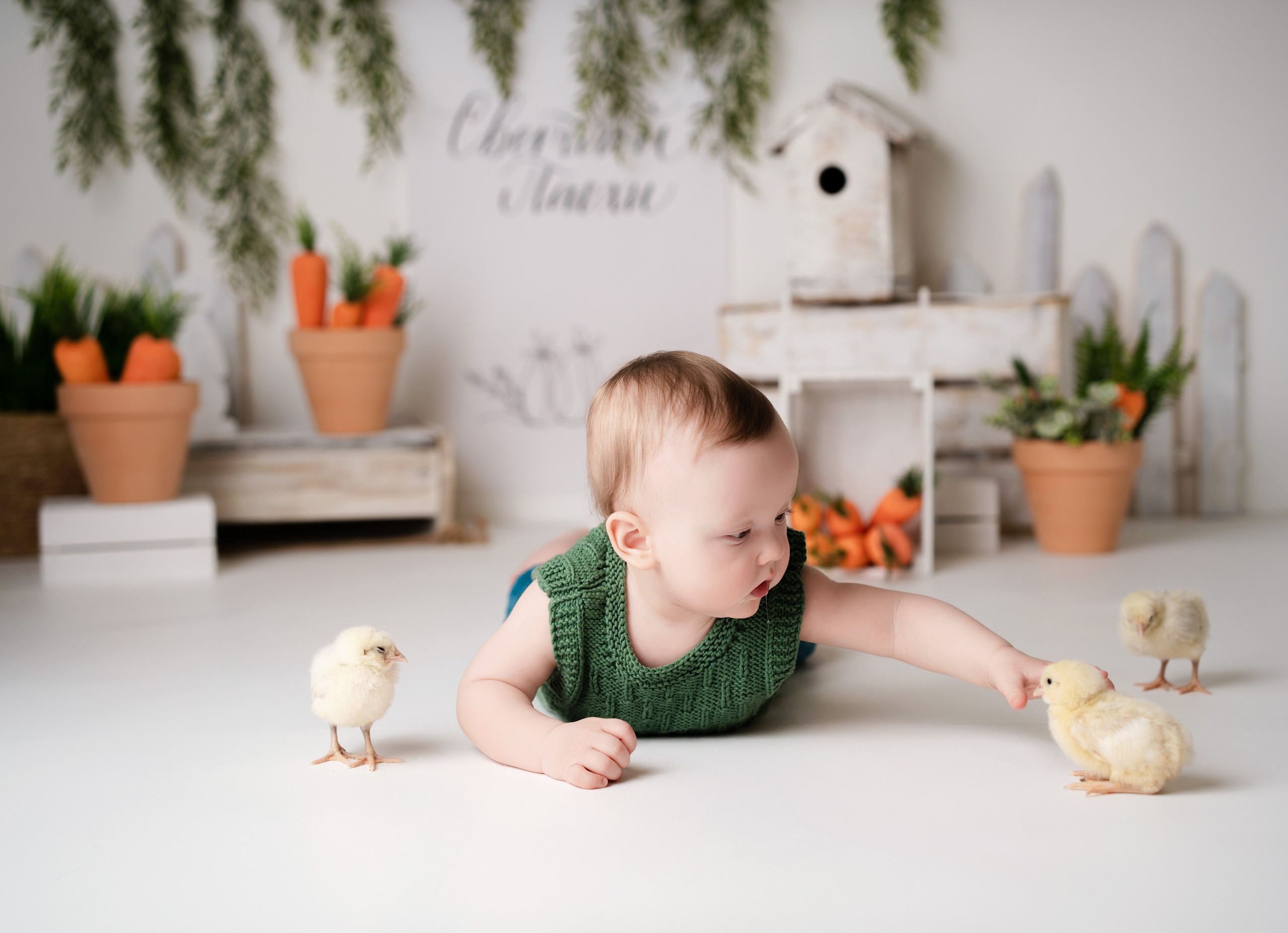 ФОТОСЕССИИ В СТУДИИ от 4х месяцев. Фотограф новорожденных в Нижнем Новгороде Сергеева Оксана