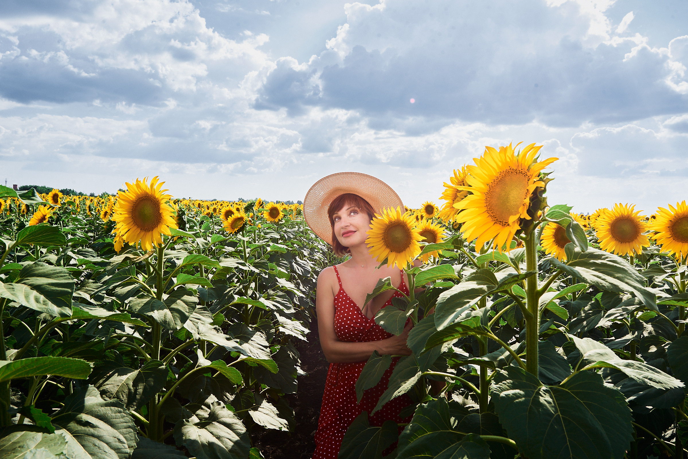 летнее фото на поле с большими жёлтыми цветками