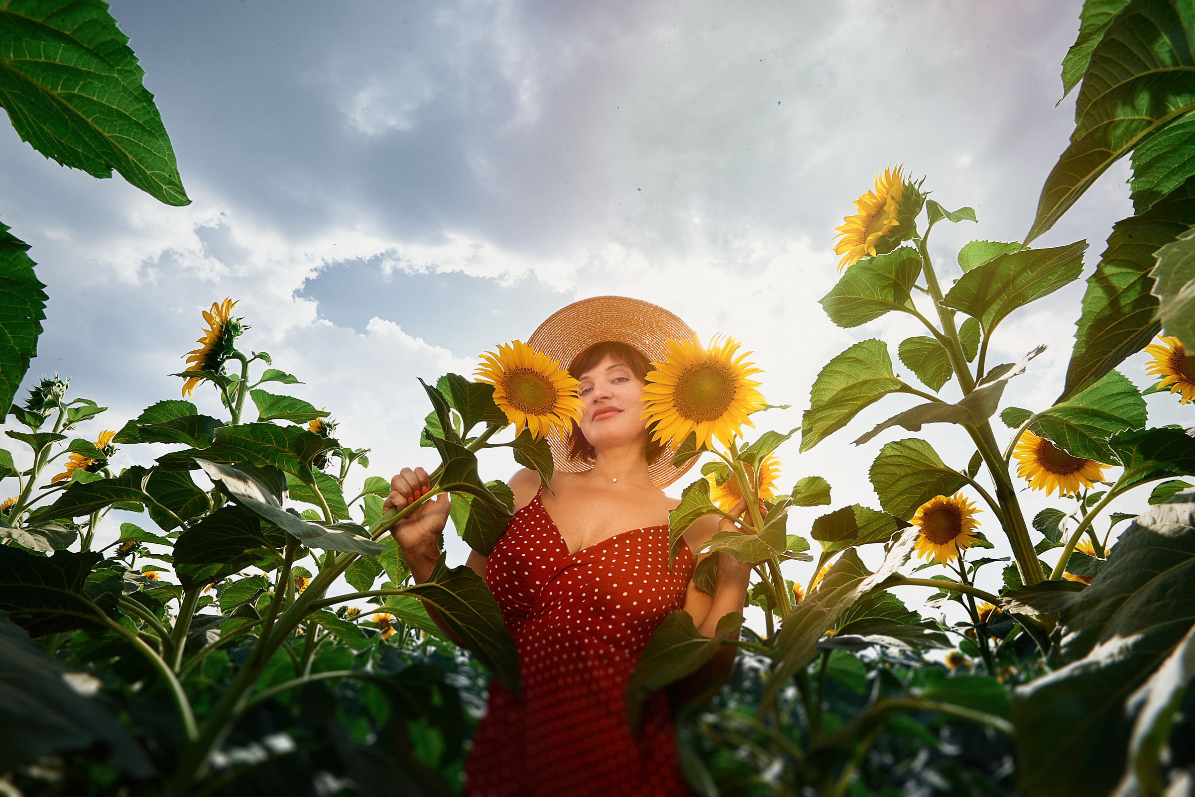 два цветка подсолнухов в руках