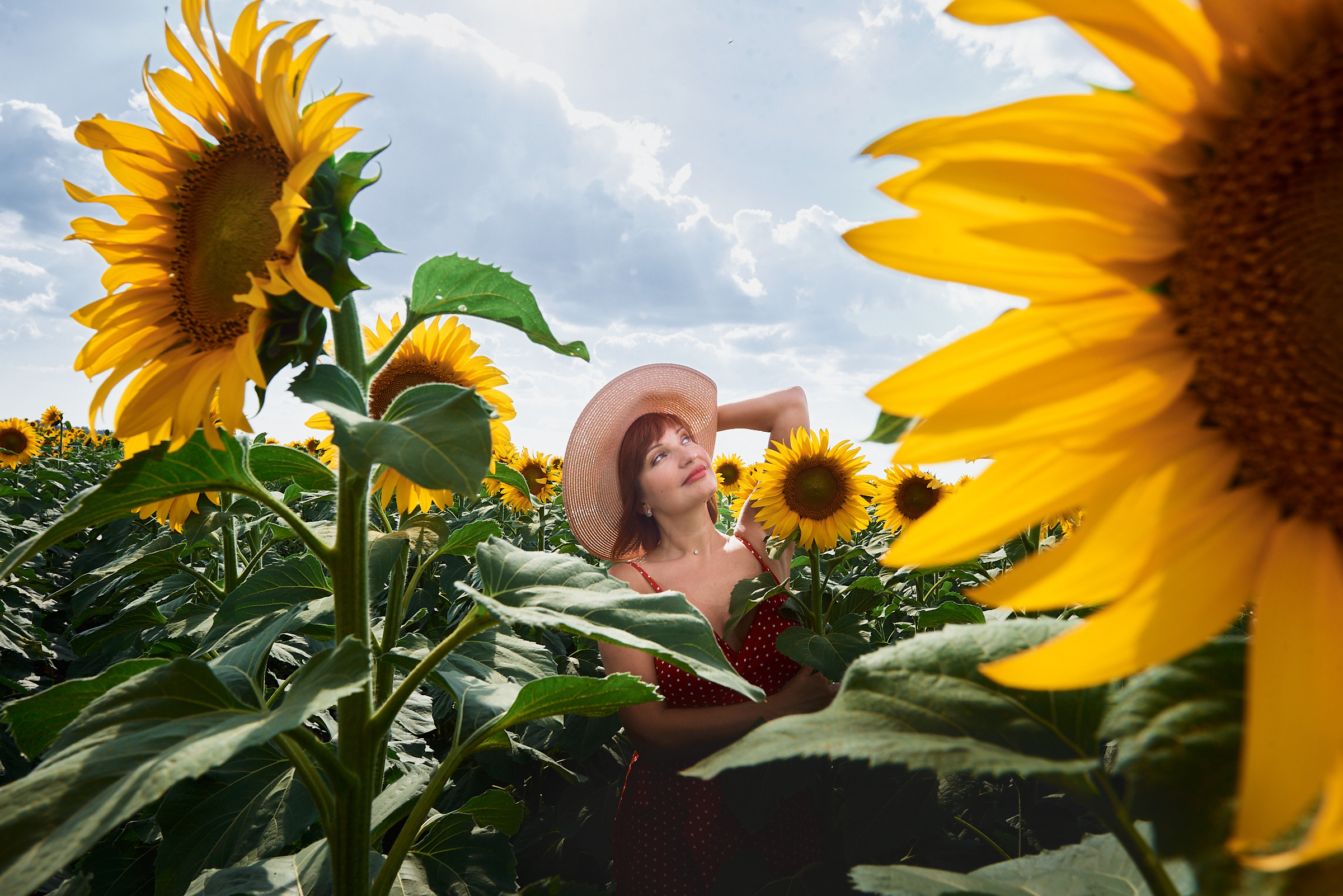 молодая девушка смотрит на небо с поля подсолнухов