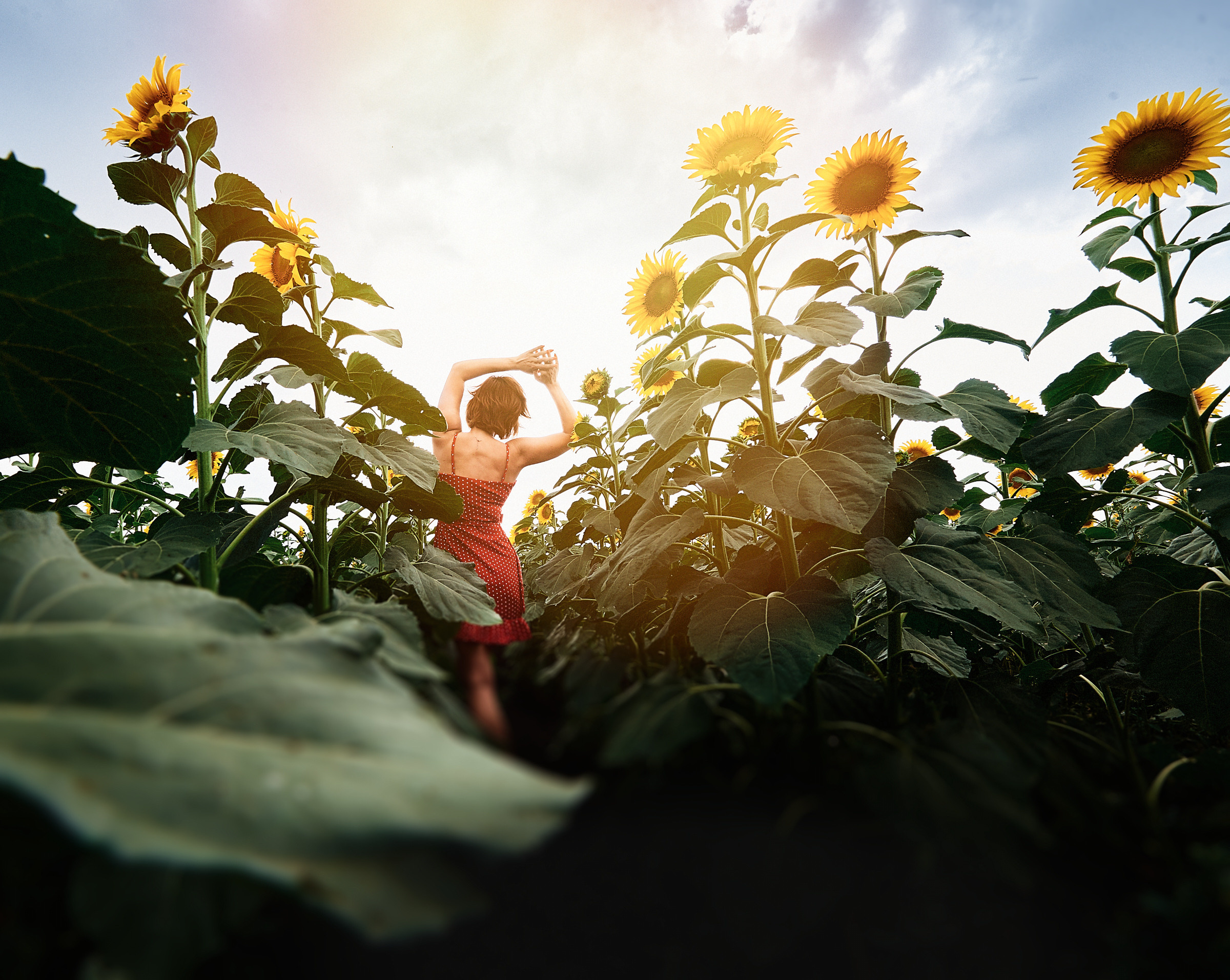 фигура среди цветов