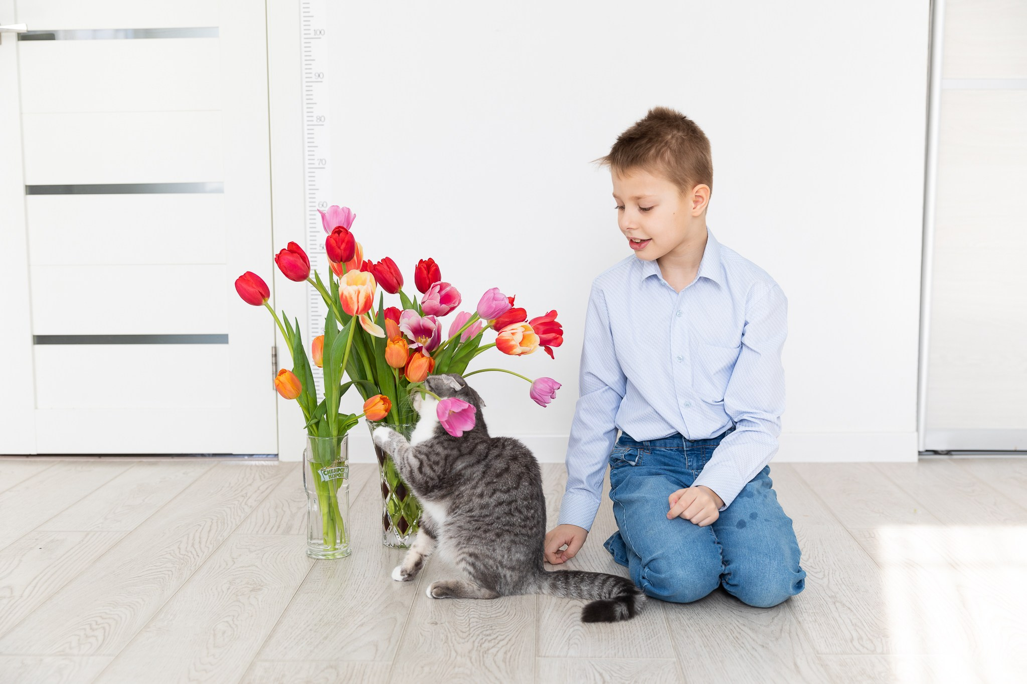 Тюльпаны для мамы. Фотограф Татьяна Генева