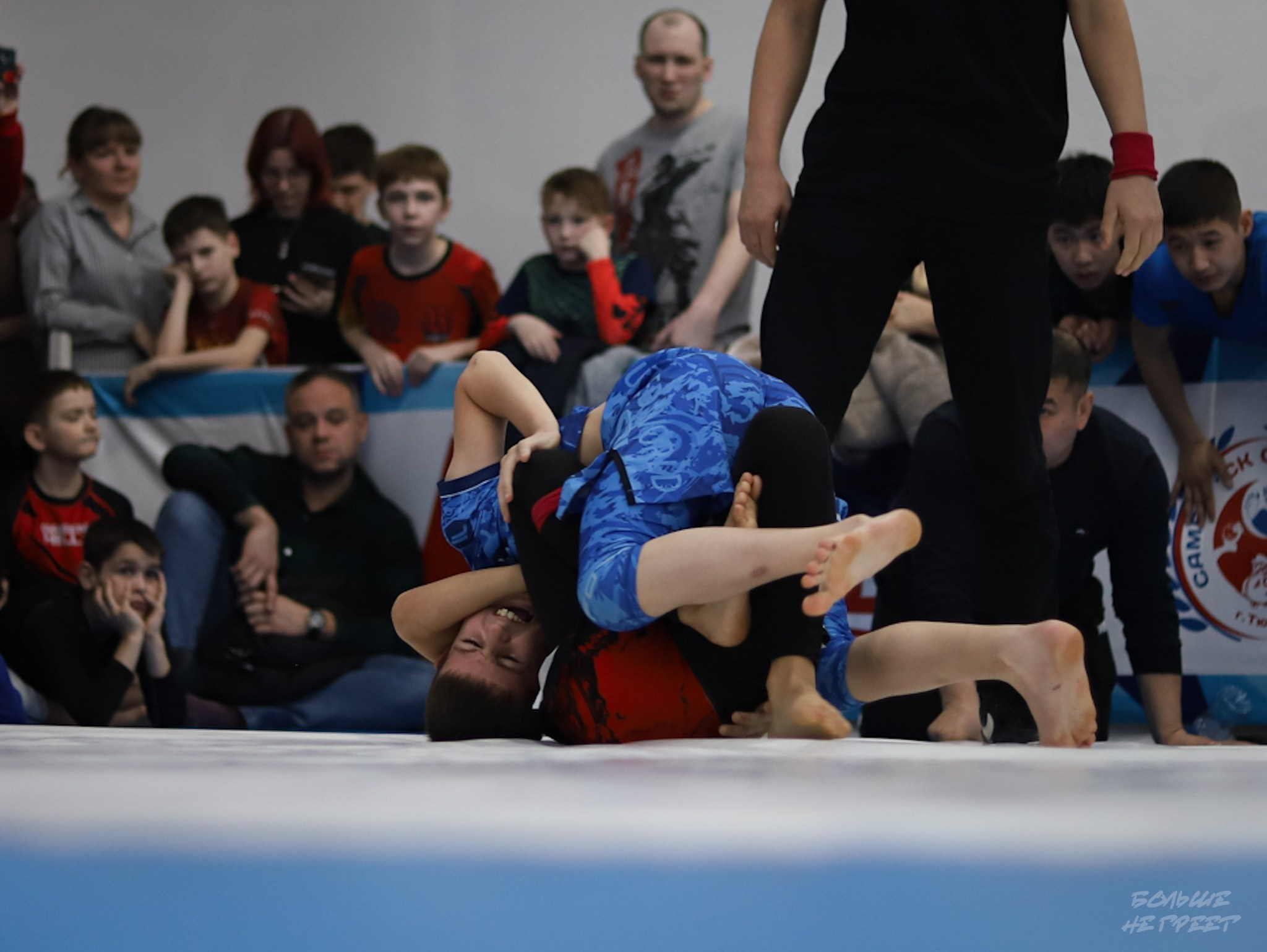 GORILLA PRIDE CUP. Больше не греет