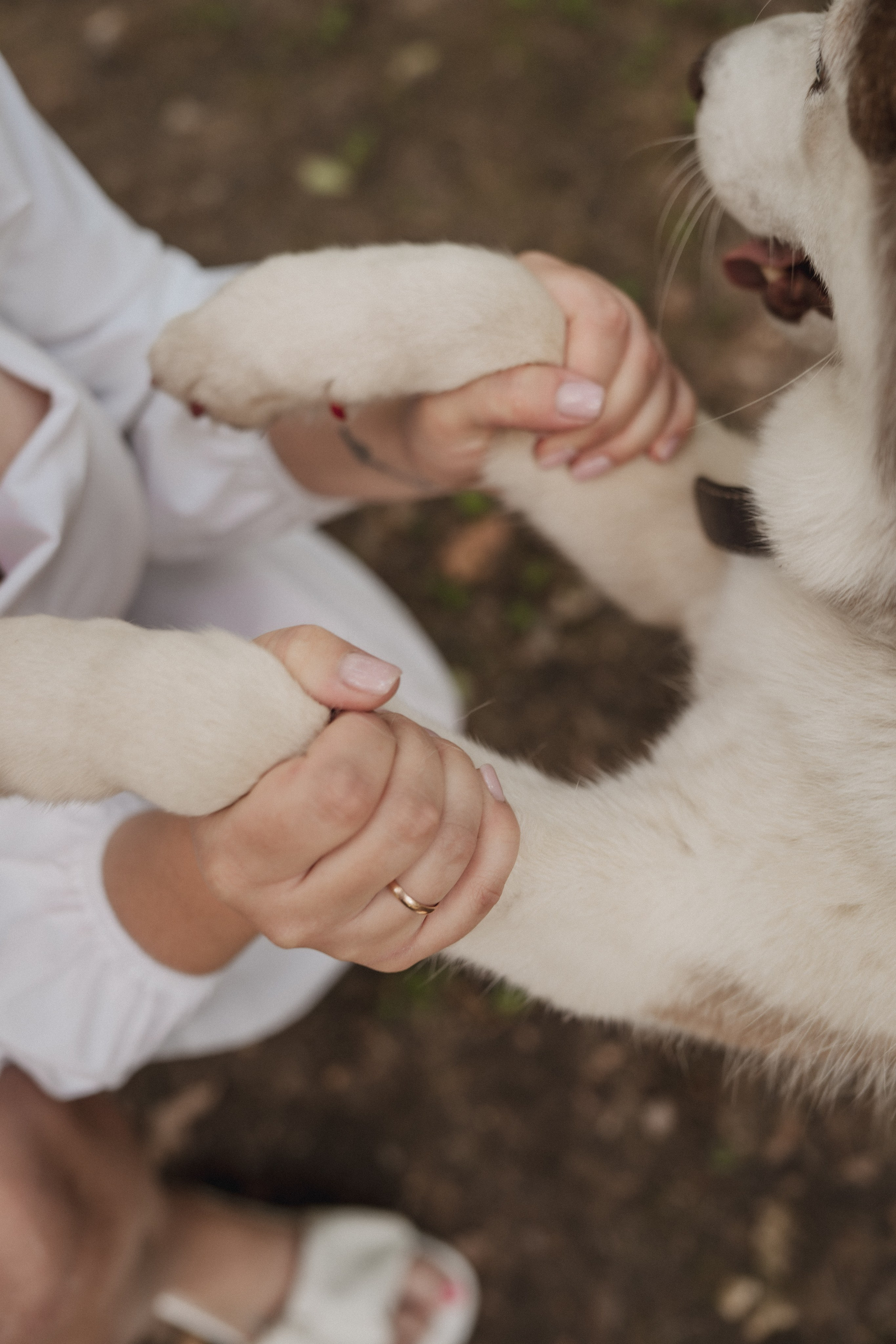 Дарья ♡ Максим ✧ Чоки — История любви, когда в семье есть хаски. Свадебный и портретный фотограф в Москве, Светлана Янковая