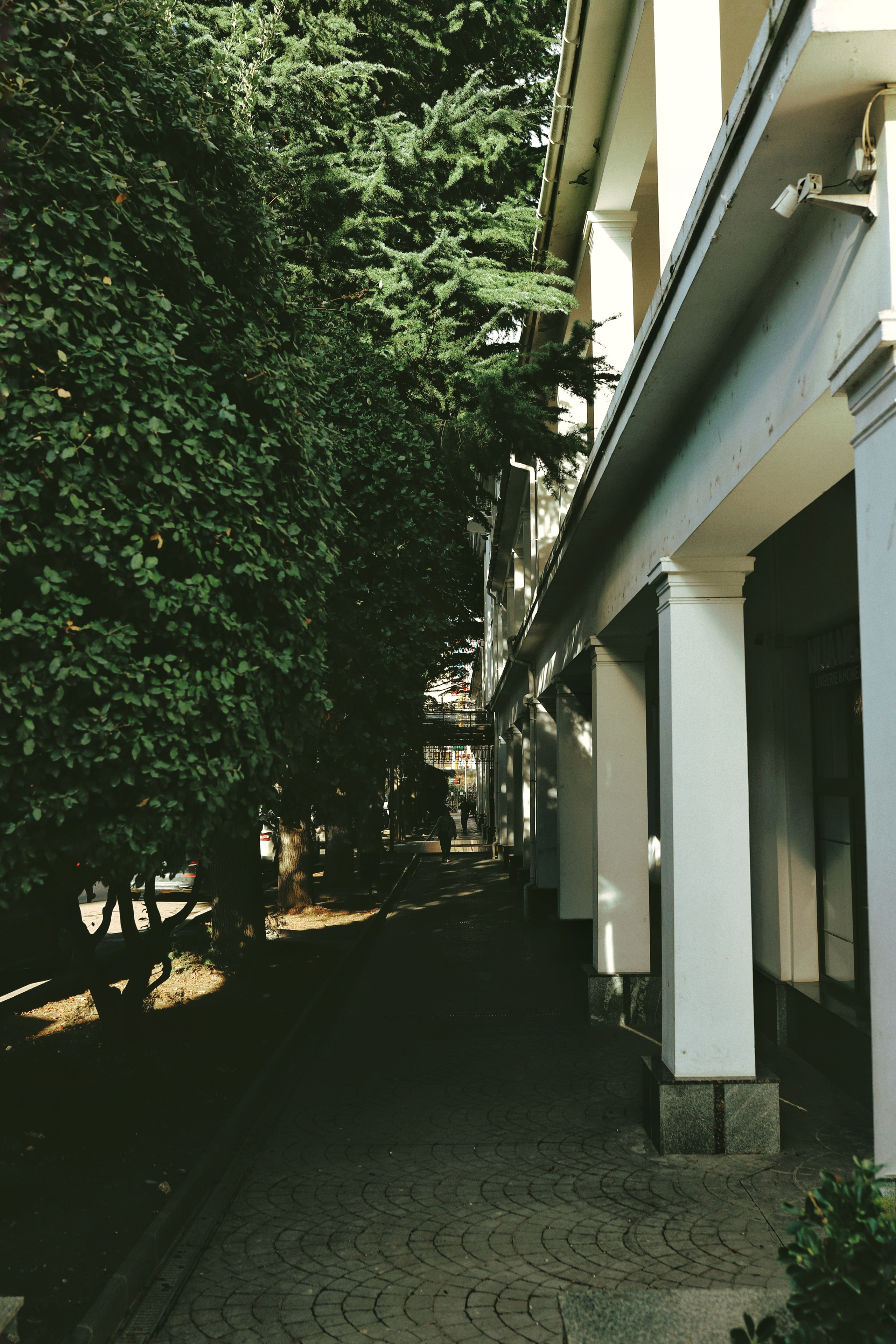 Алушта. Фотограф и видеограф в Санкт-Петербурге