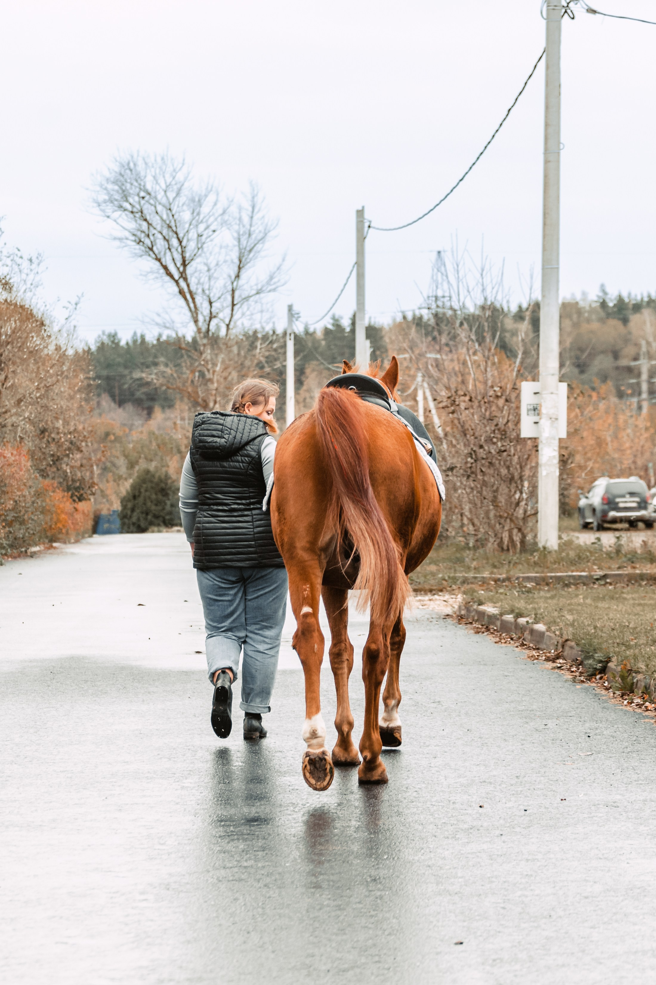 Лена и Рэджи. Фотограф-анималист Татьяна Степанова