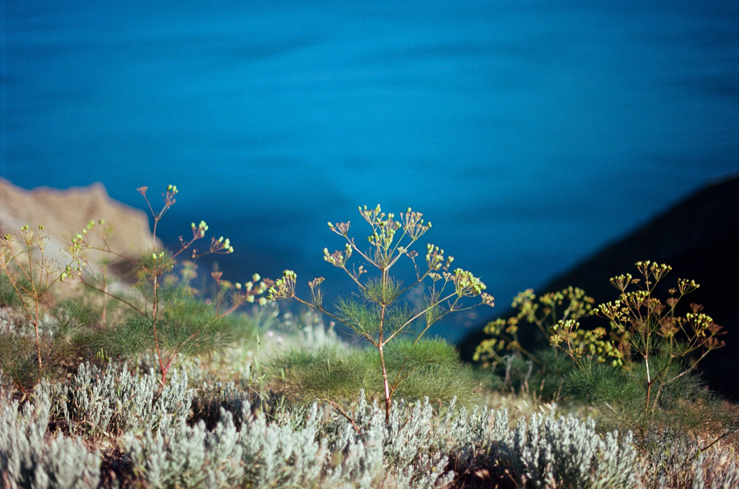 Kool-aid // ukraine, crimea III. EVER EXPOSED