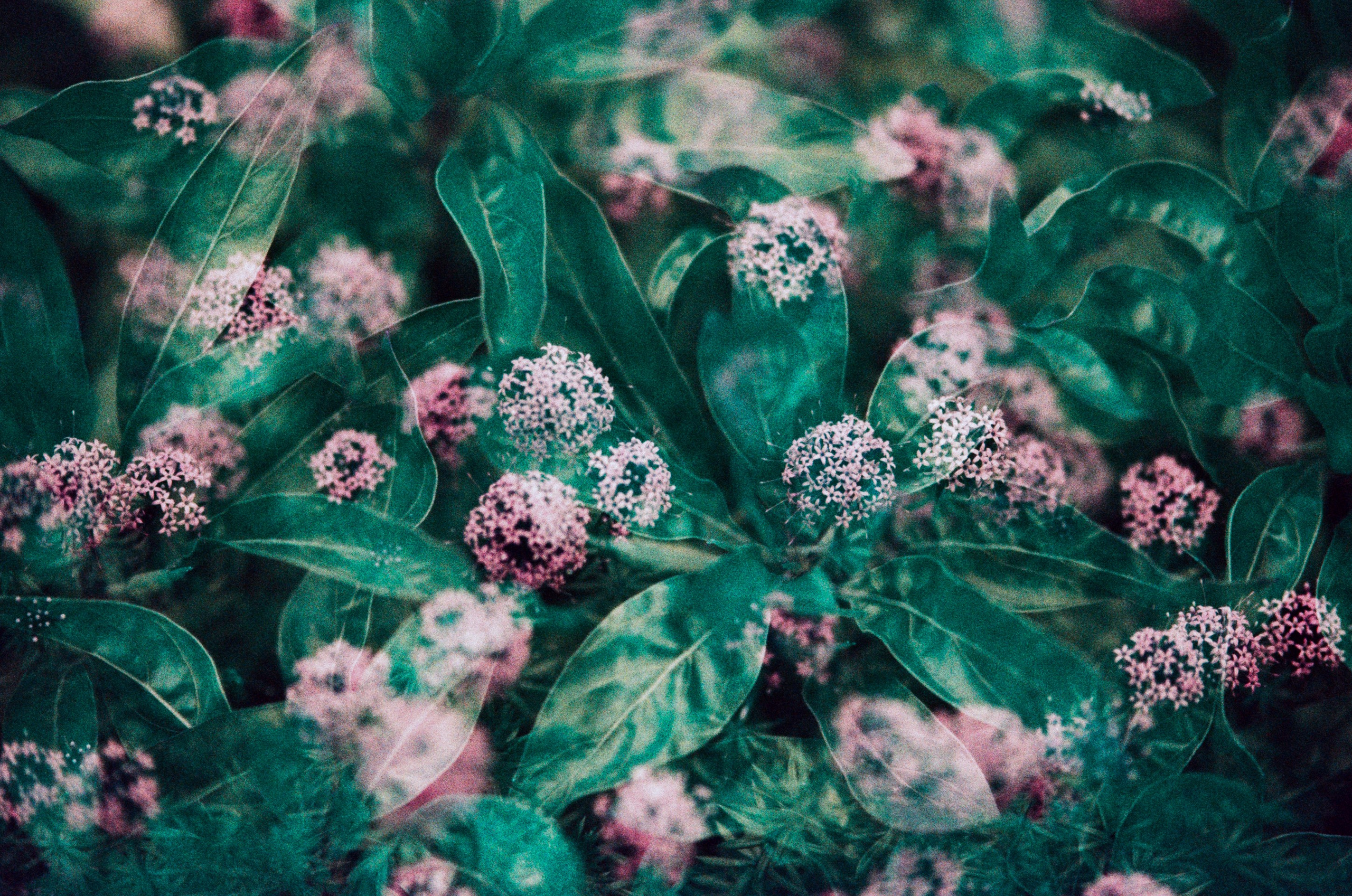 Pain shopping // ukraine, crimea VII. EVER EXPOSED