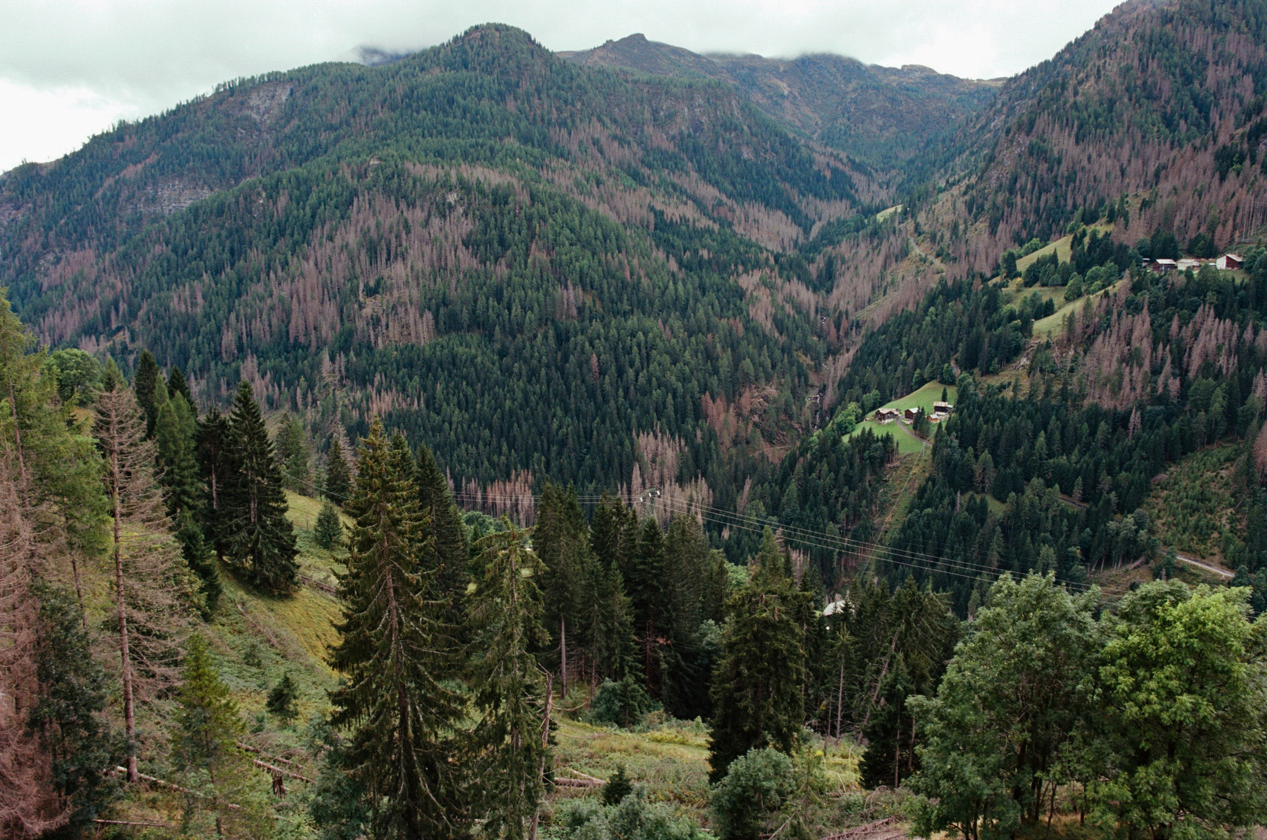 Are you coming // italy, dolomites II. EVER EXPOSED