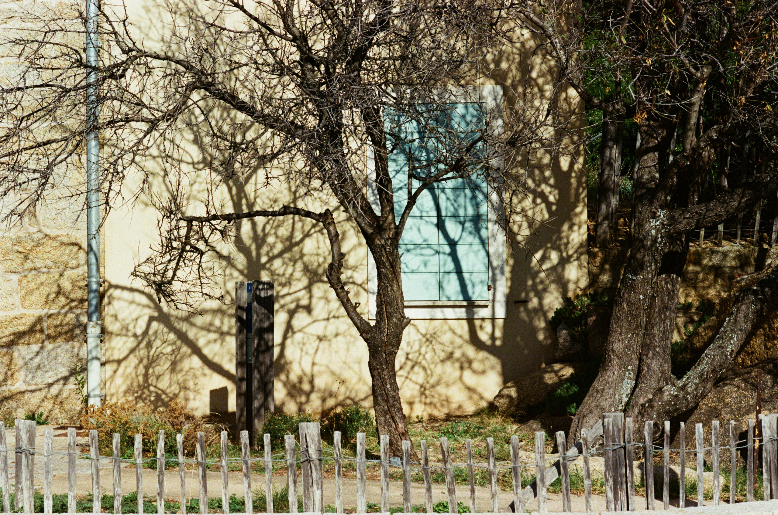 Silence is also an answer // corsica II. EVER EXPOSED