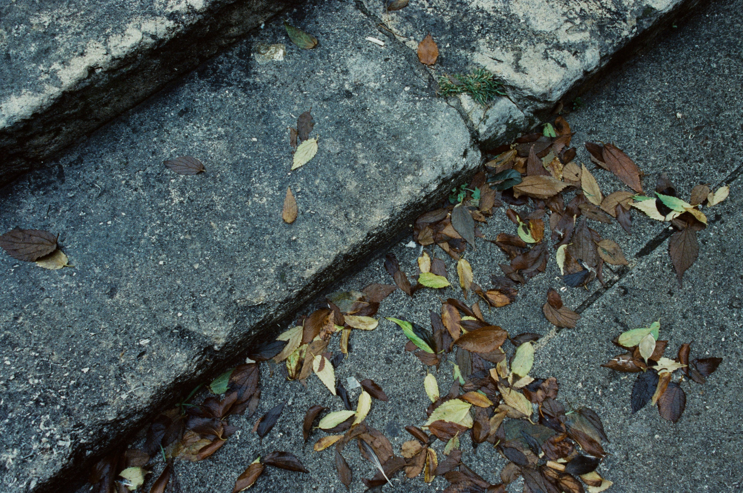 The contract // france, avignon. EVER EXPOSED