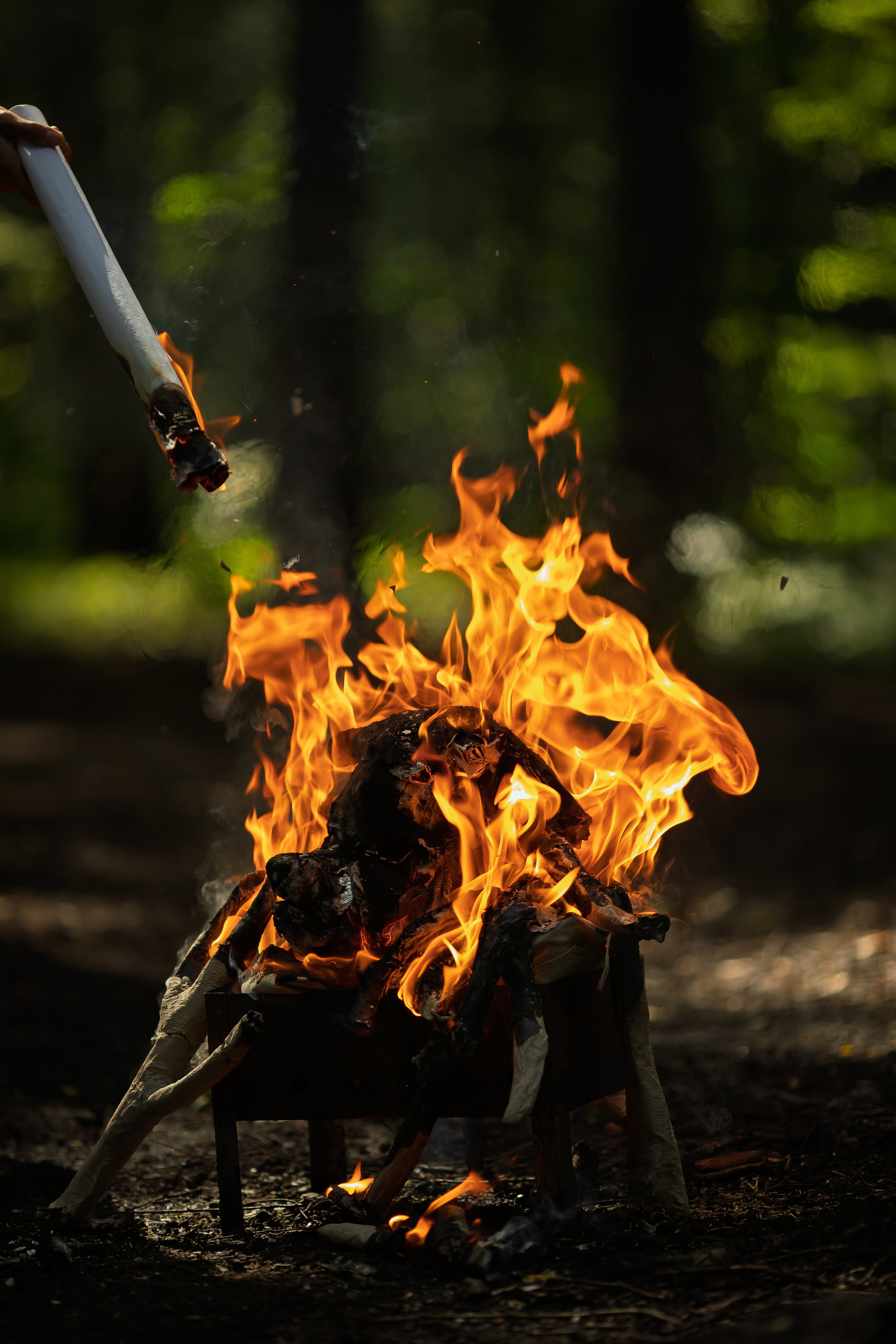 Фотопроект «Духи леса» — маски из папье-маше, свет и тишина природы. Фотограф Анна Грошикова — авторская съёмка на рассвете и закате в Москве, Мытищах, Солнечногорске и Московской области