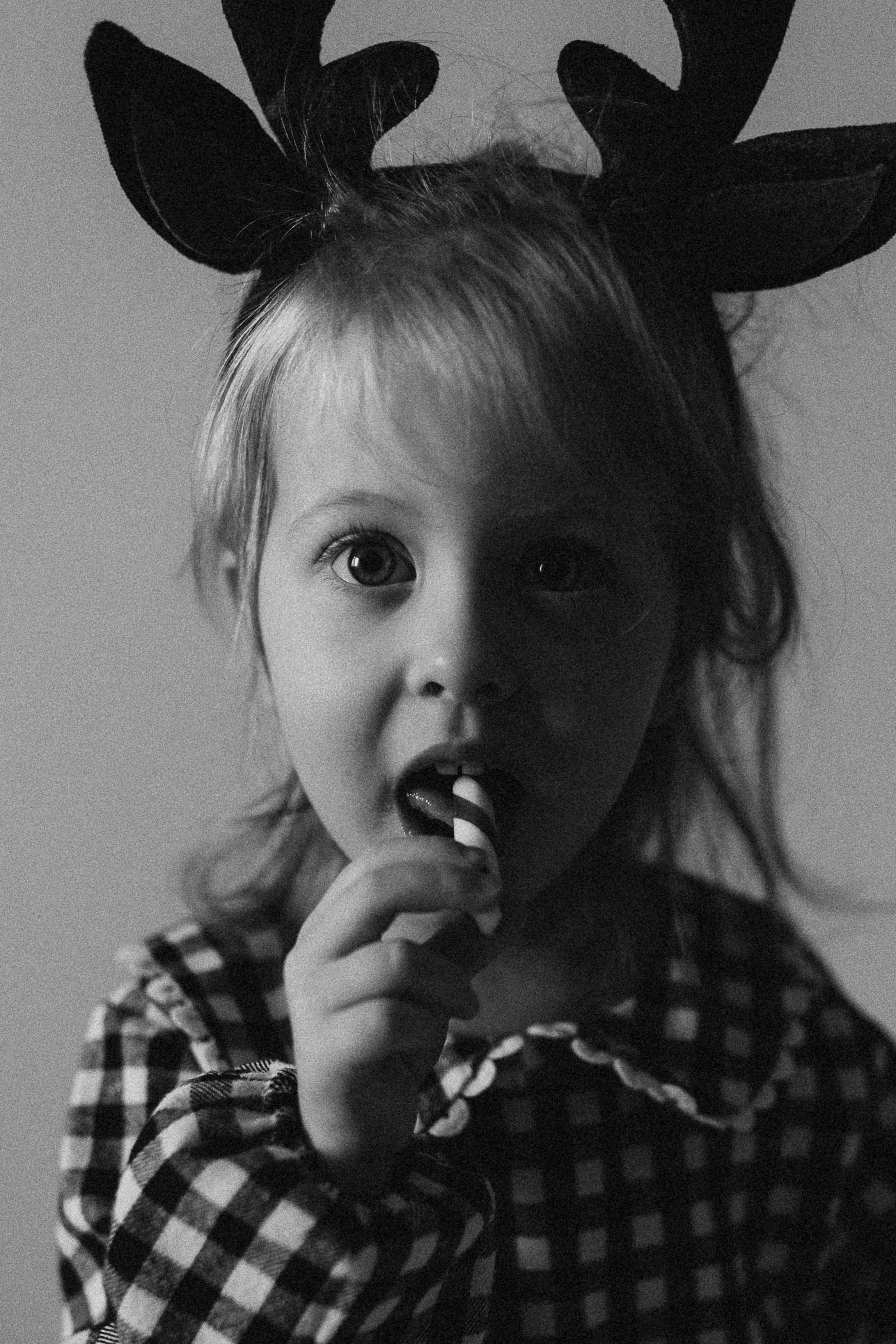 Предновогодняя суета. Фотограф из Петербурга