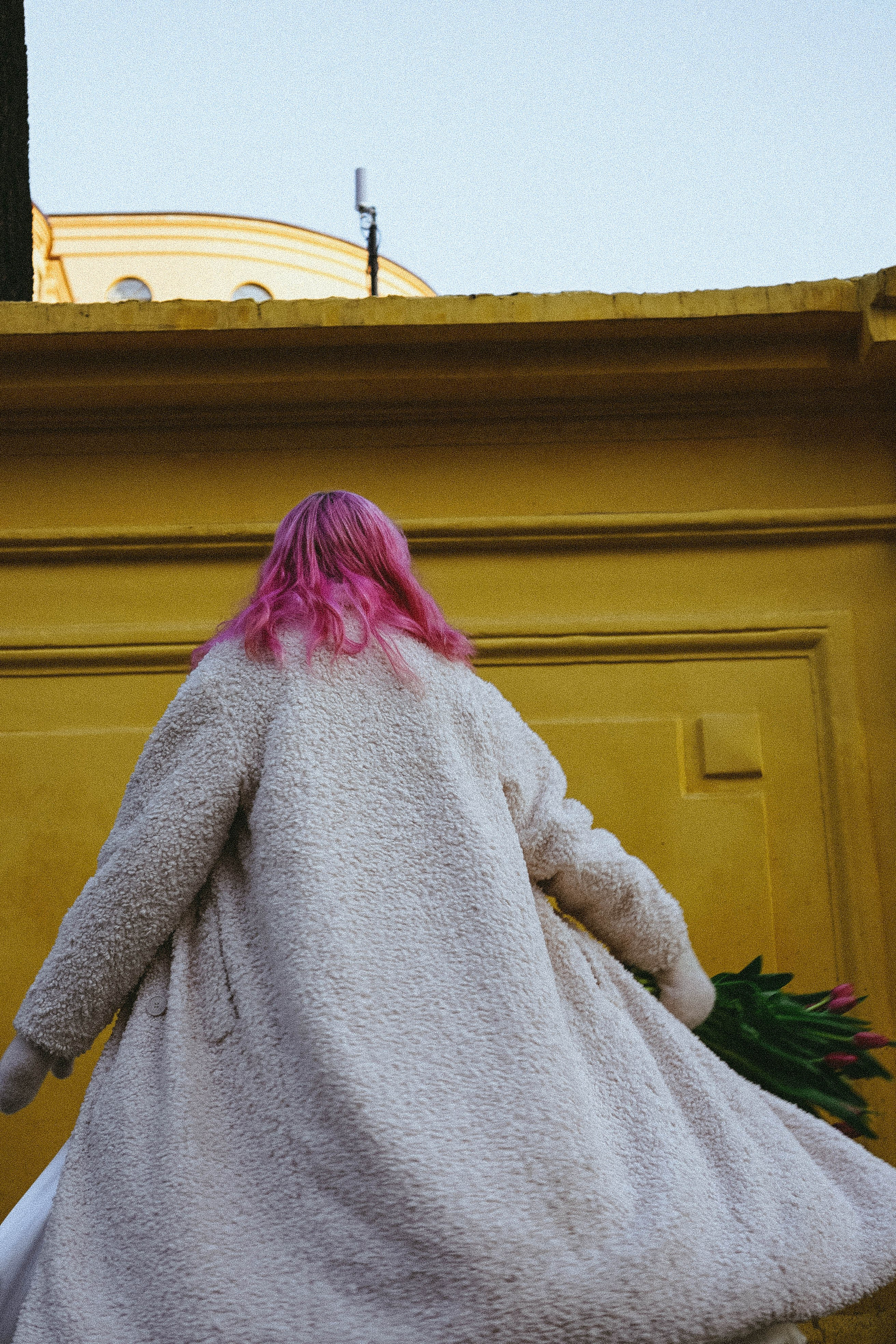 Тюльпаны. Профессиональный фотограф, Санкт-Петербург — Виктория Богомолова