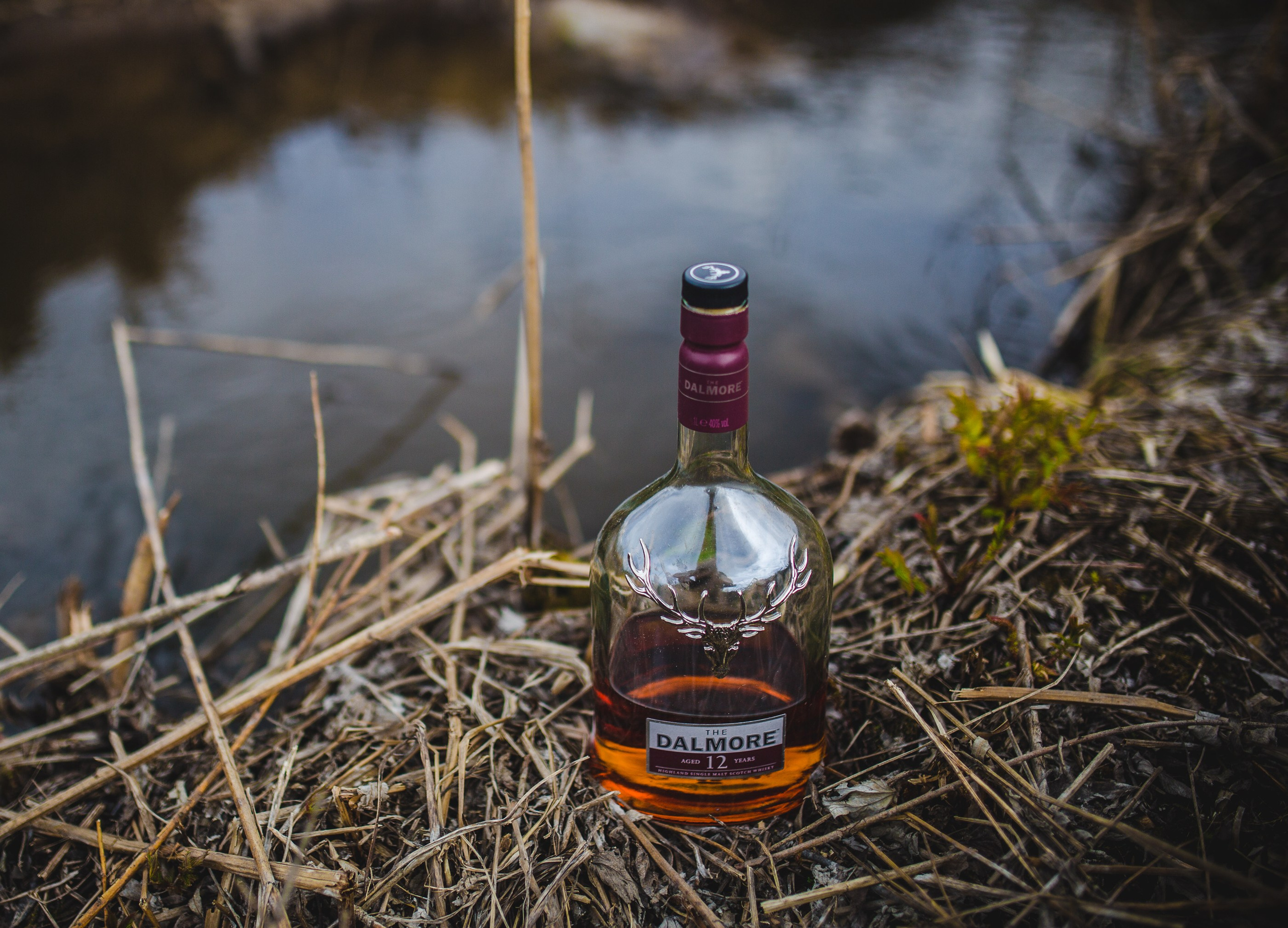 Whisky. Семейный и репортажной фотограф в Красноярске и Москве Виктор Бабинцев