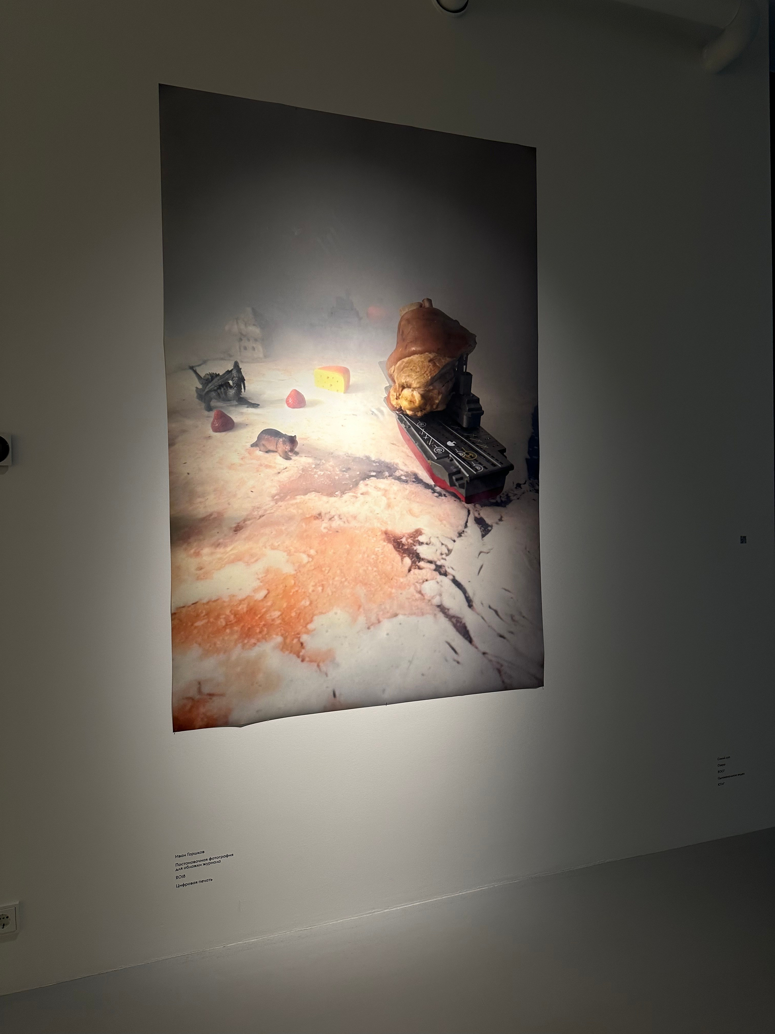 Выставка Чересчур. Фотосессии и репортаж — Фотограф в Москве — Рина Серёгина