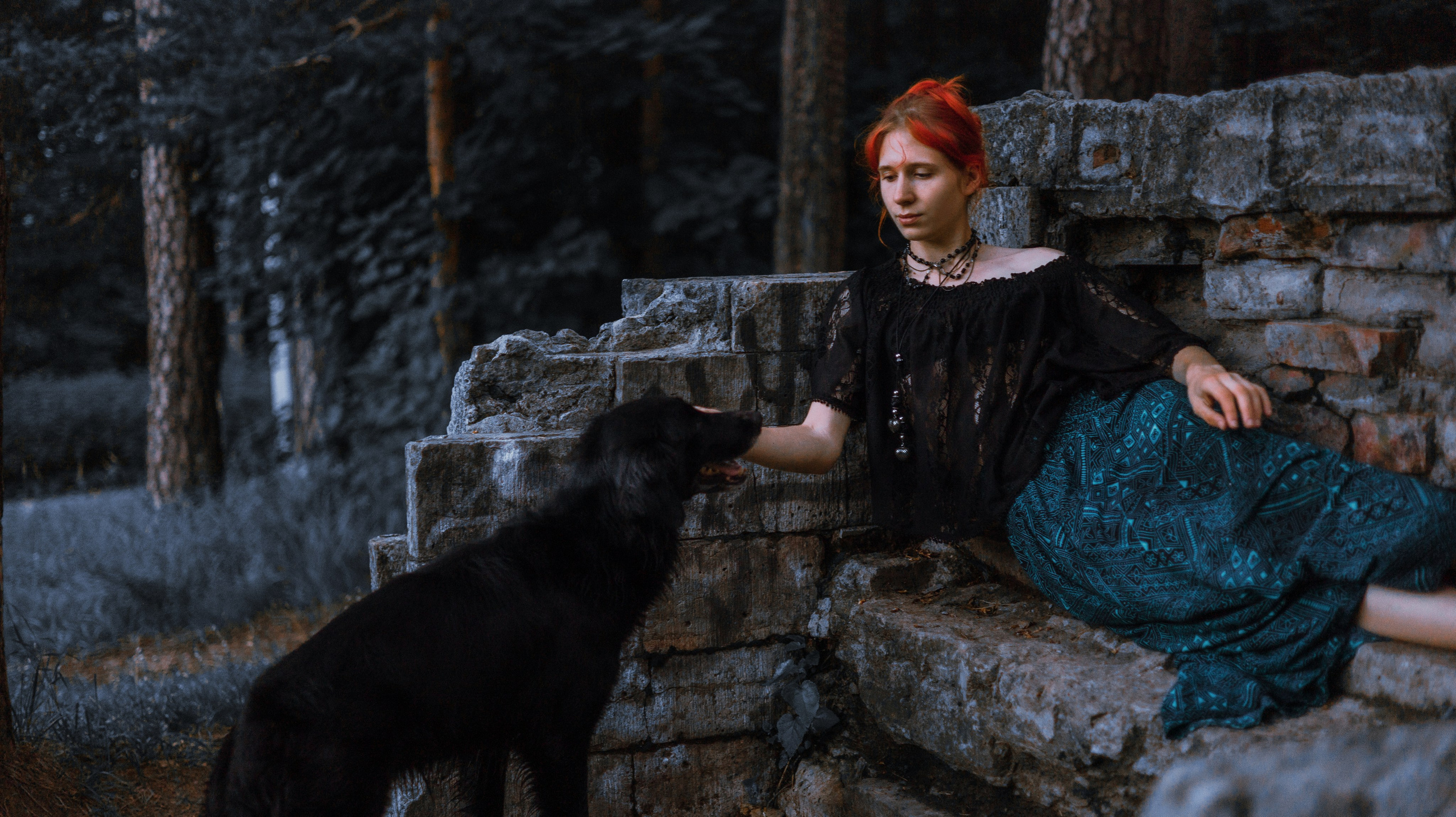 Лиза и Коди. Фотограф-анималист Богданова Полина