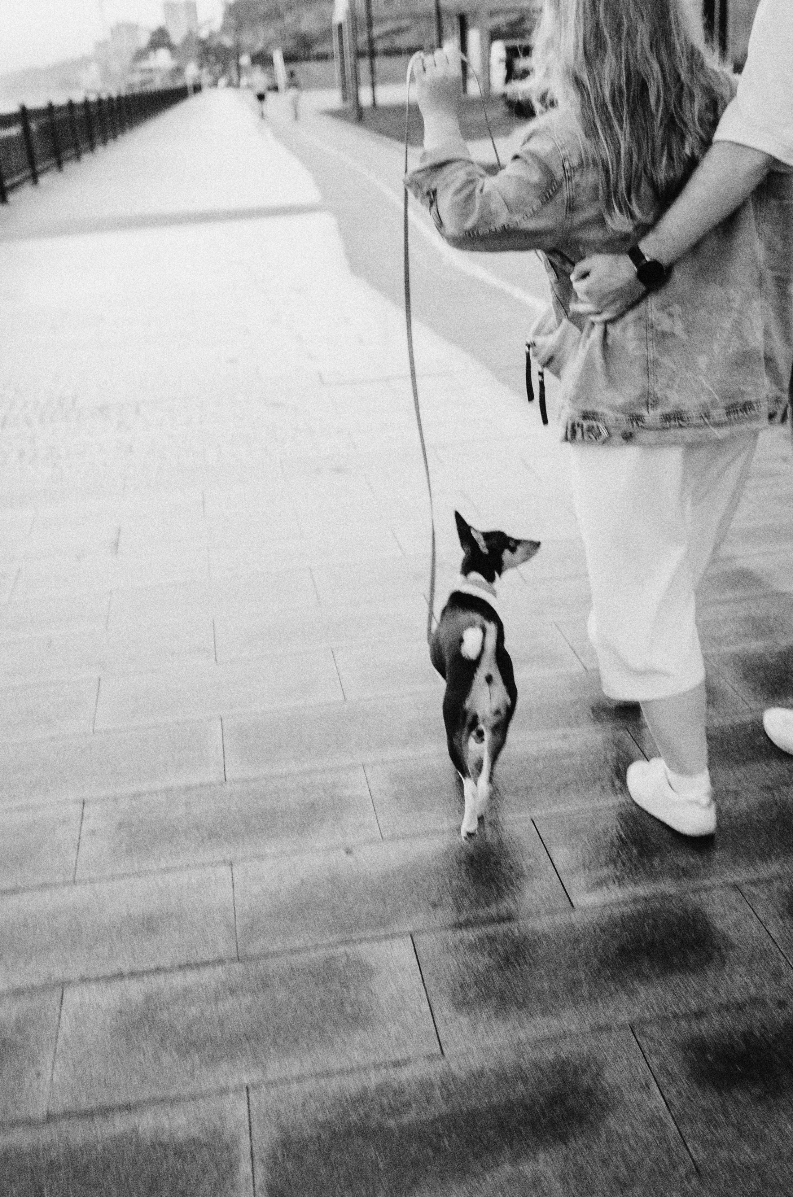 Лена, Никита и Эсма. Фотограф-анималист Богданова Полина