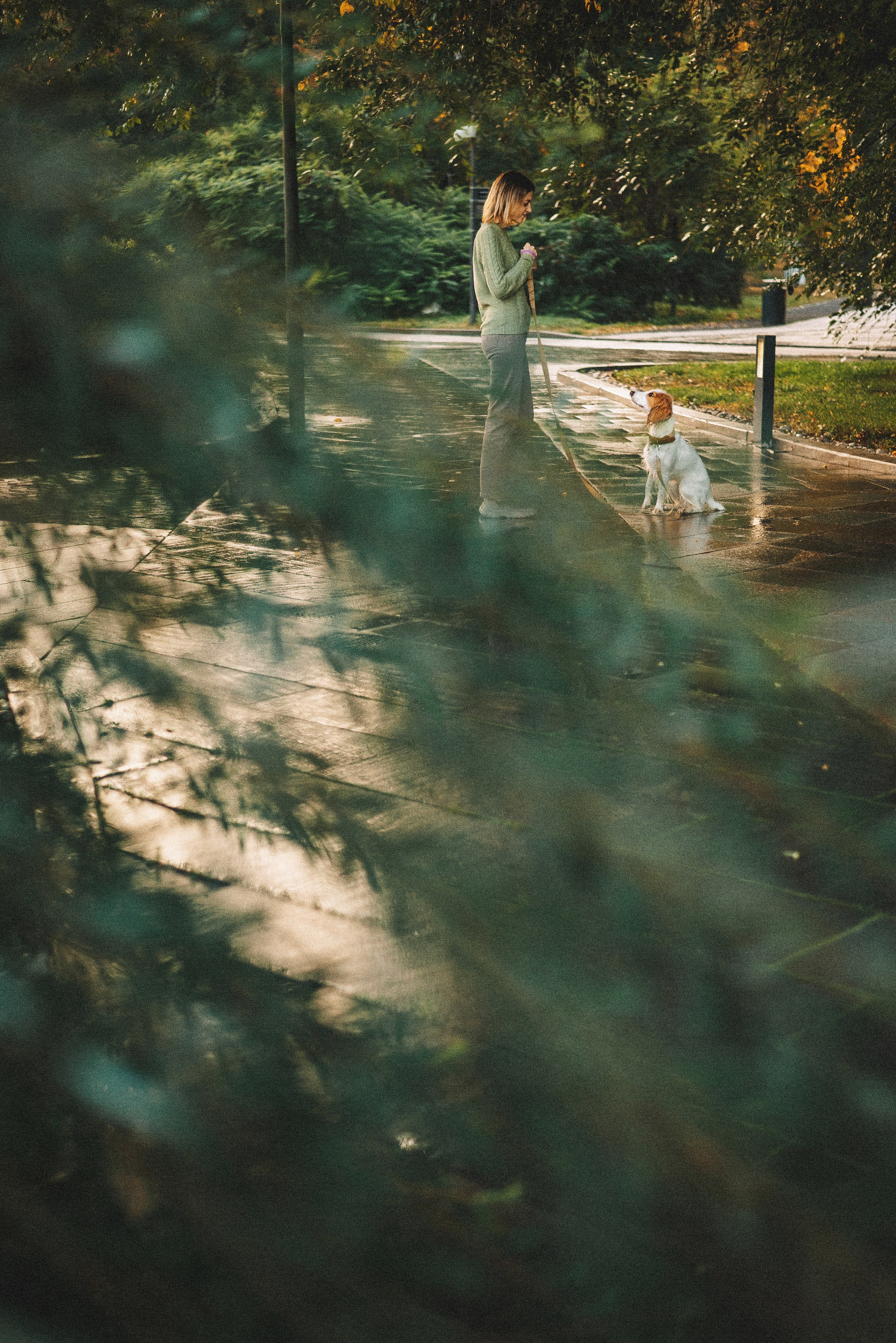 Маша и Вега. Фотограф-анималист Богданова Полина