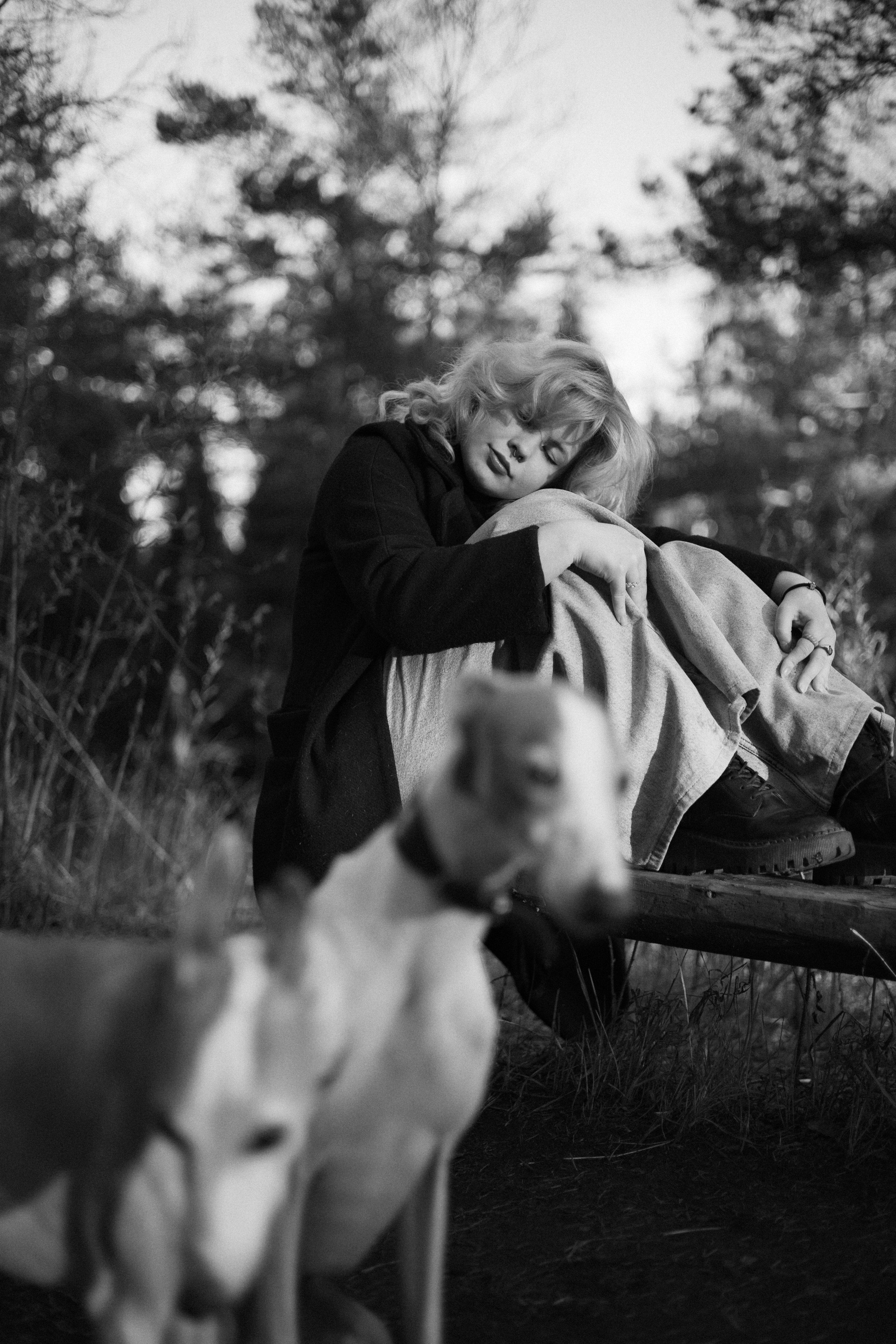 Вика, Джем и Белла. Фотограф-анималист Богданова Полина