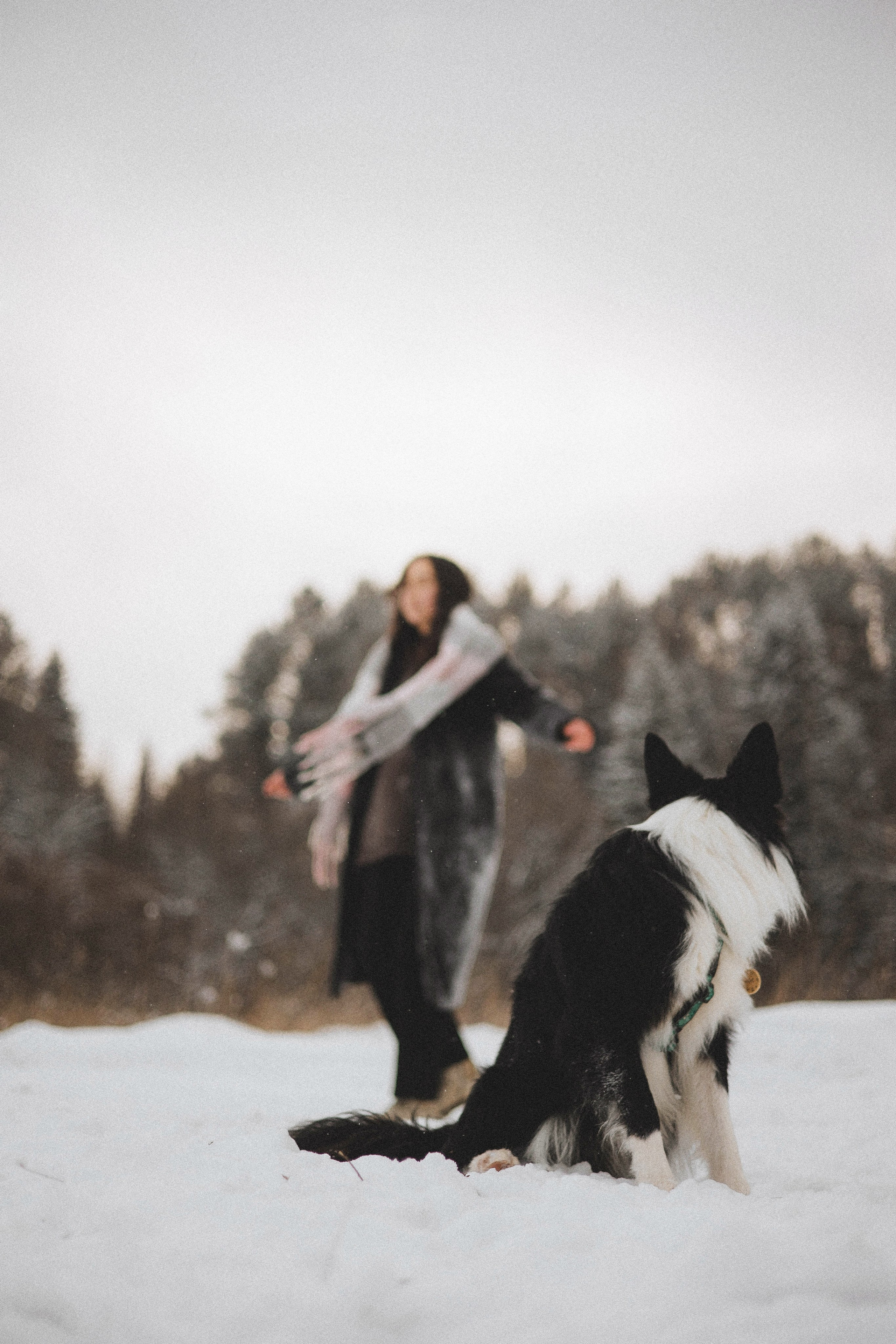 Алина и Найт. Фотограф-анималист Богданова Полина